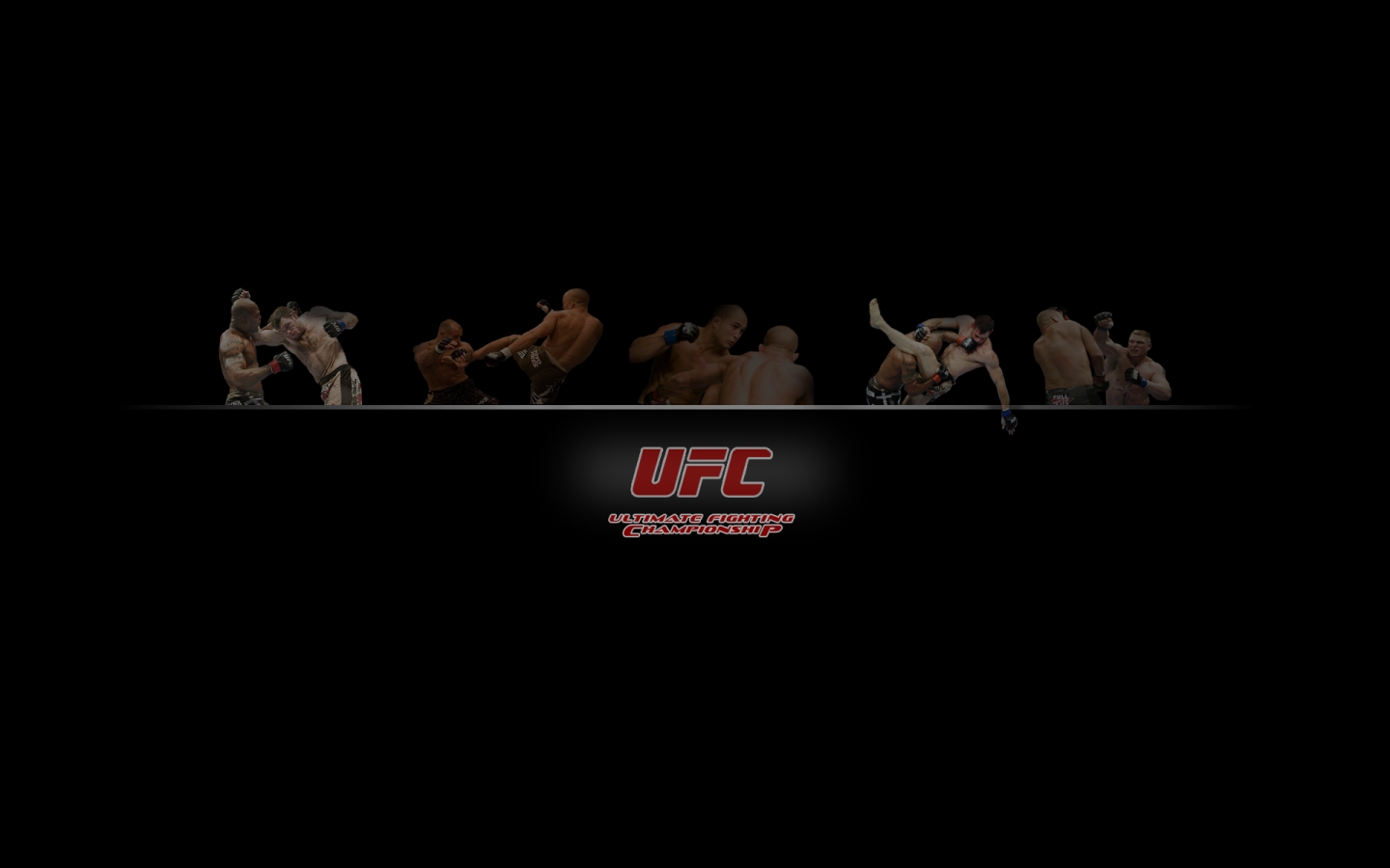 Mma Ultimate Fighting Championship 1440x900