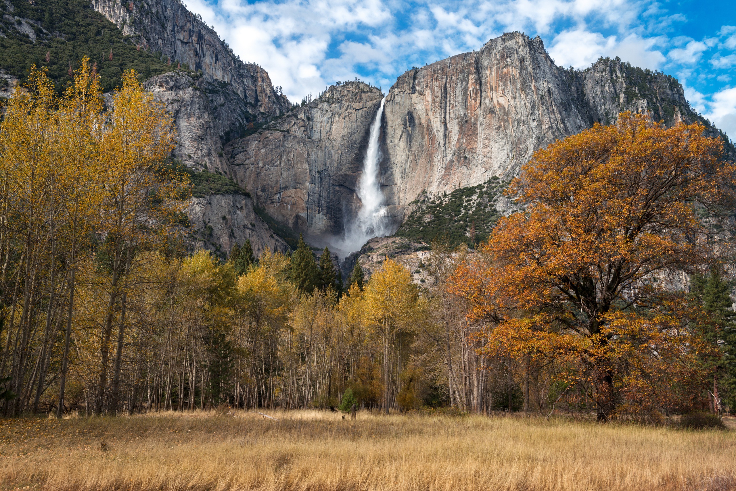 Cliff Nature Tree Usa Waterfall Yosemite Falls Yosemite National Park 2560x1709