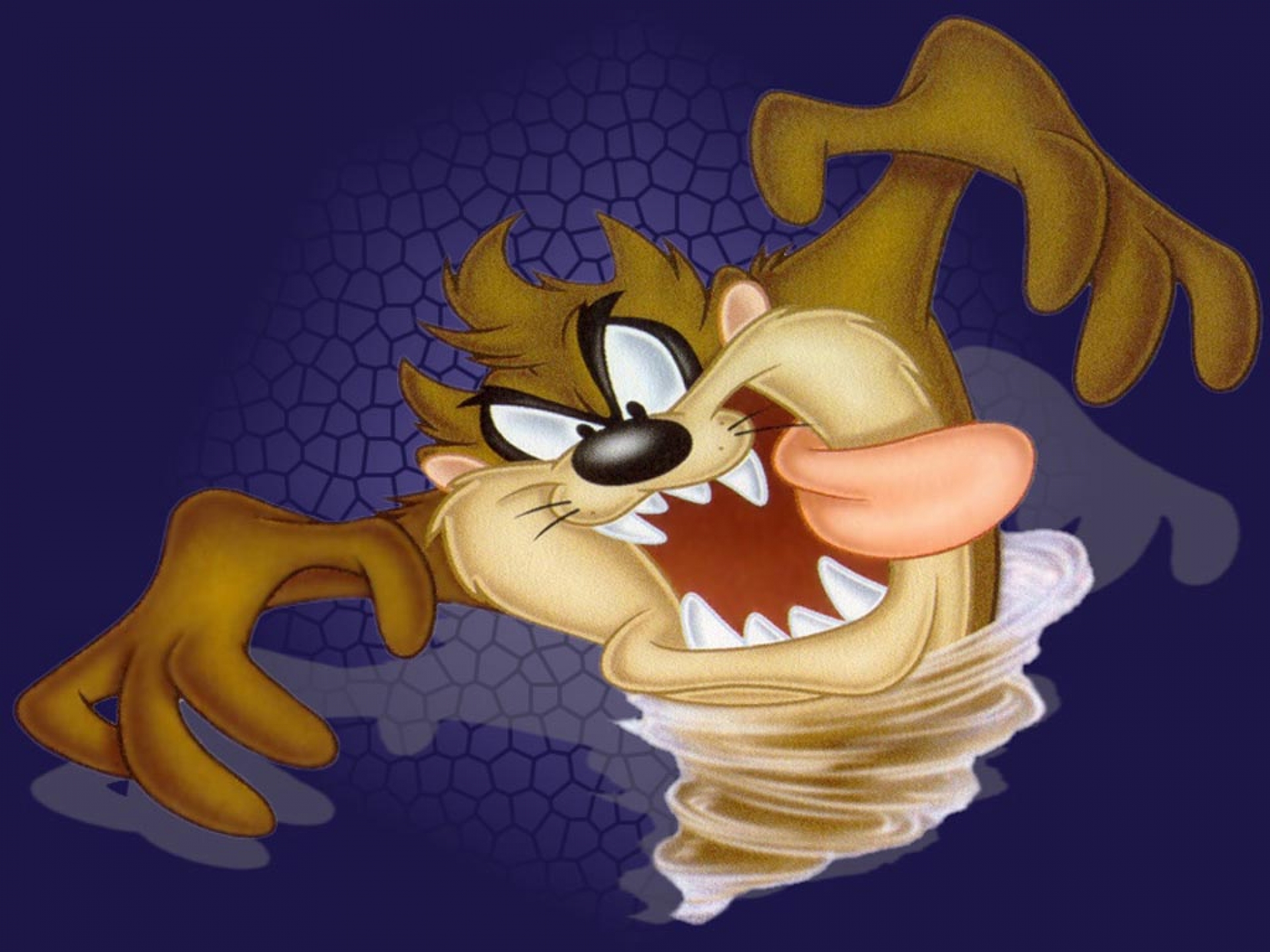 Tasmanian Devil Looney Tunes 1920x1440