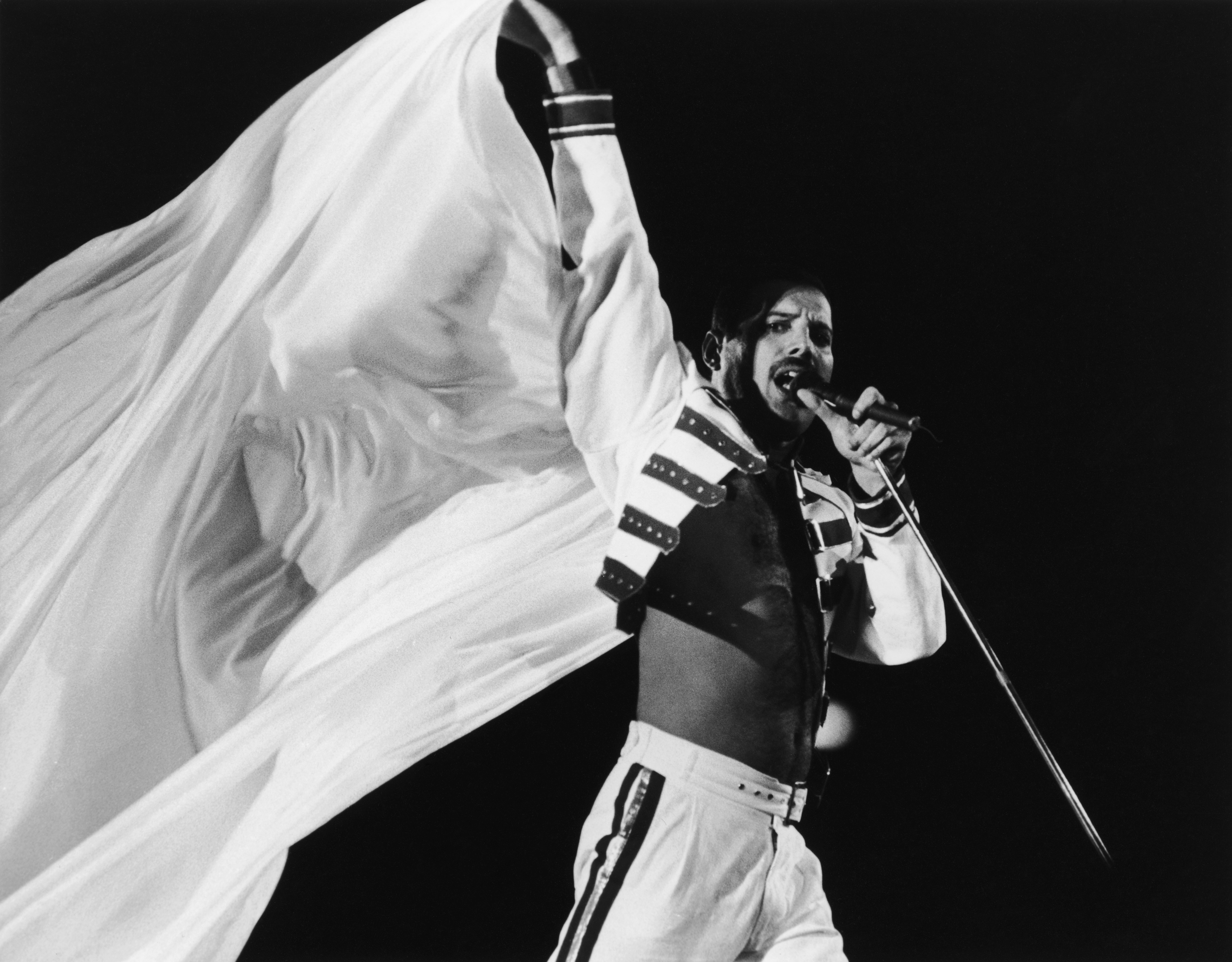 Freddie Mercury Queen Band 4720x3685