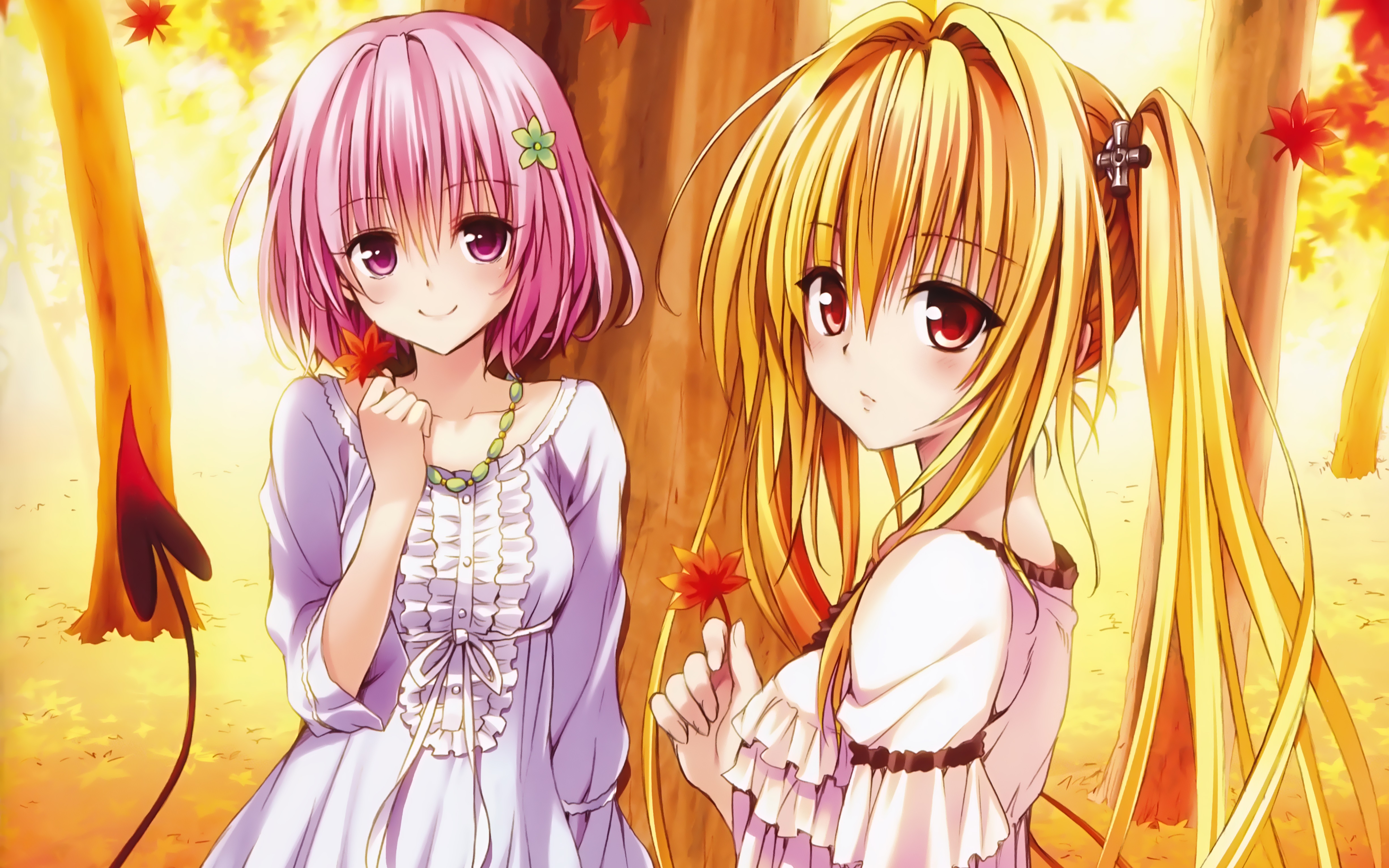 To Love Ru Golden Darkness Momo Velia Deviluke Smile Pink Hair Girl 4904x3066