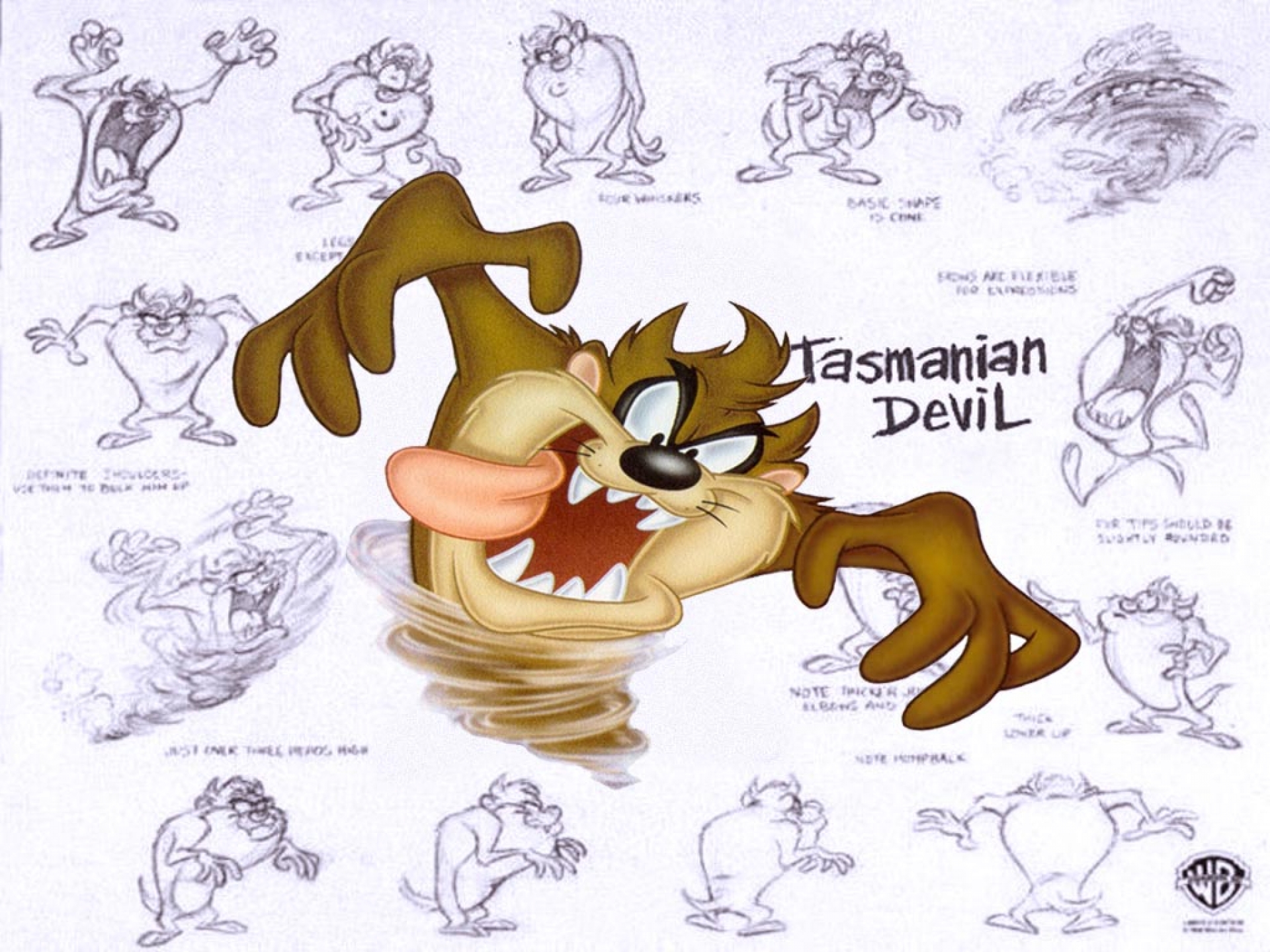 Tasmanian Devil Looney Tunes 1920x1440