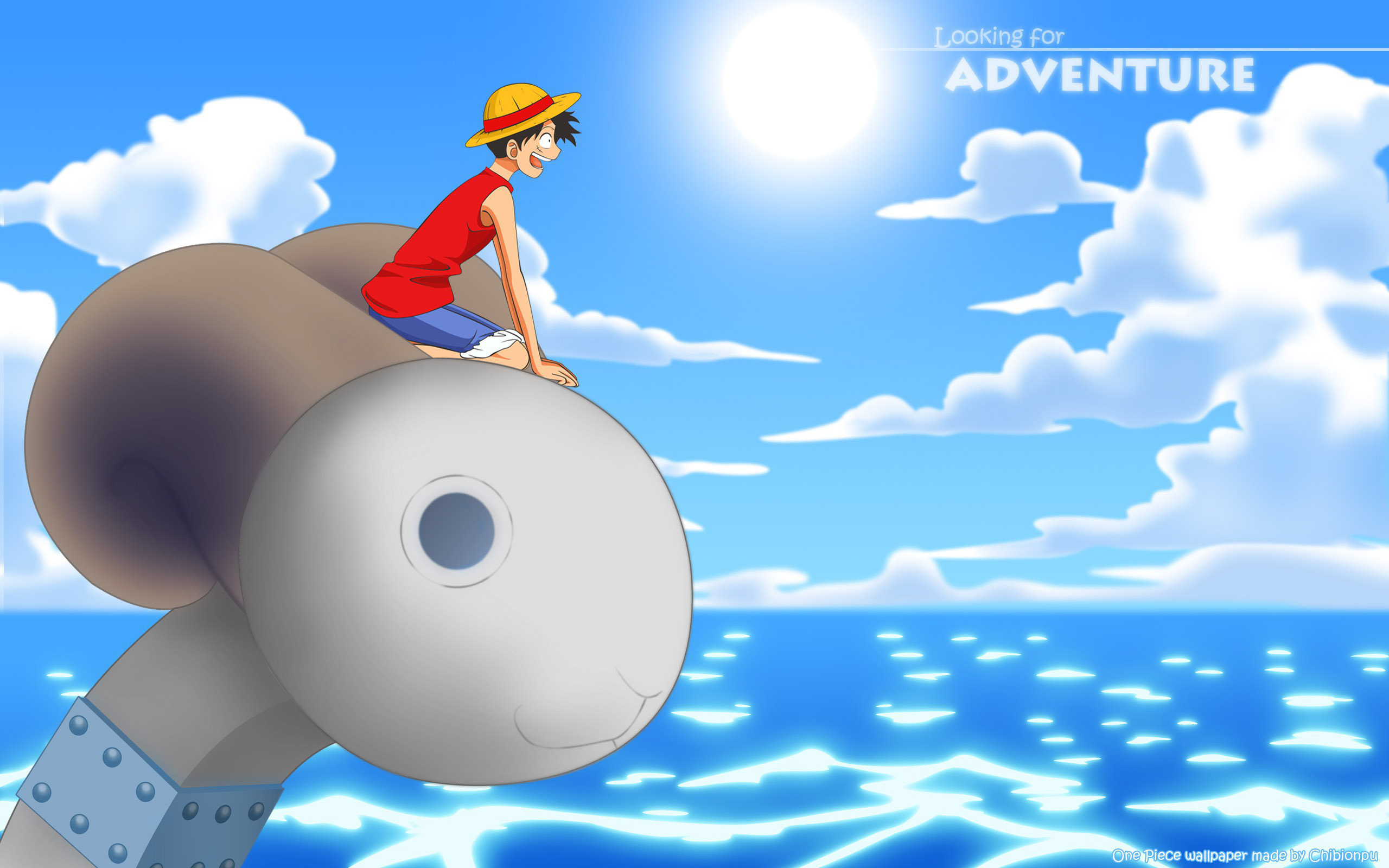 Monkey D Luffy Going Merry One Piece 2560x1600