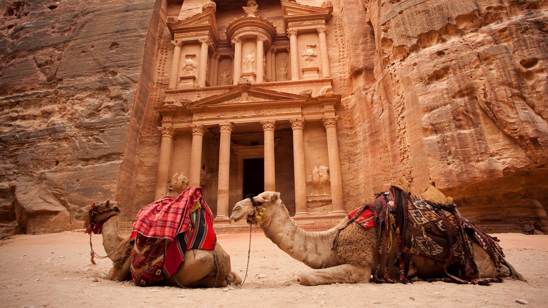 Landscape Al Khazneh Camels Stone Wall Temple Petra 1920x1080