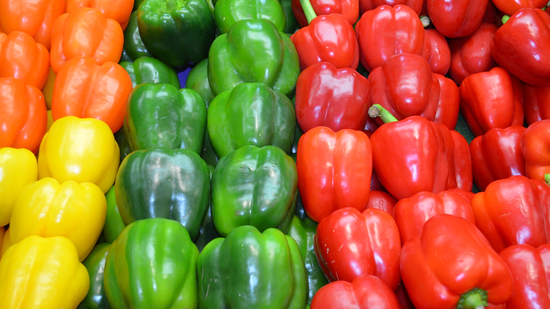 Capsicum Colorful Colors Pepper Photography Vegetable 1920x1080