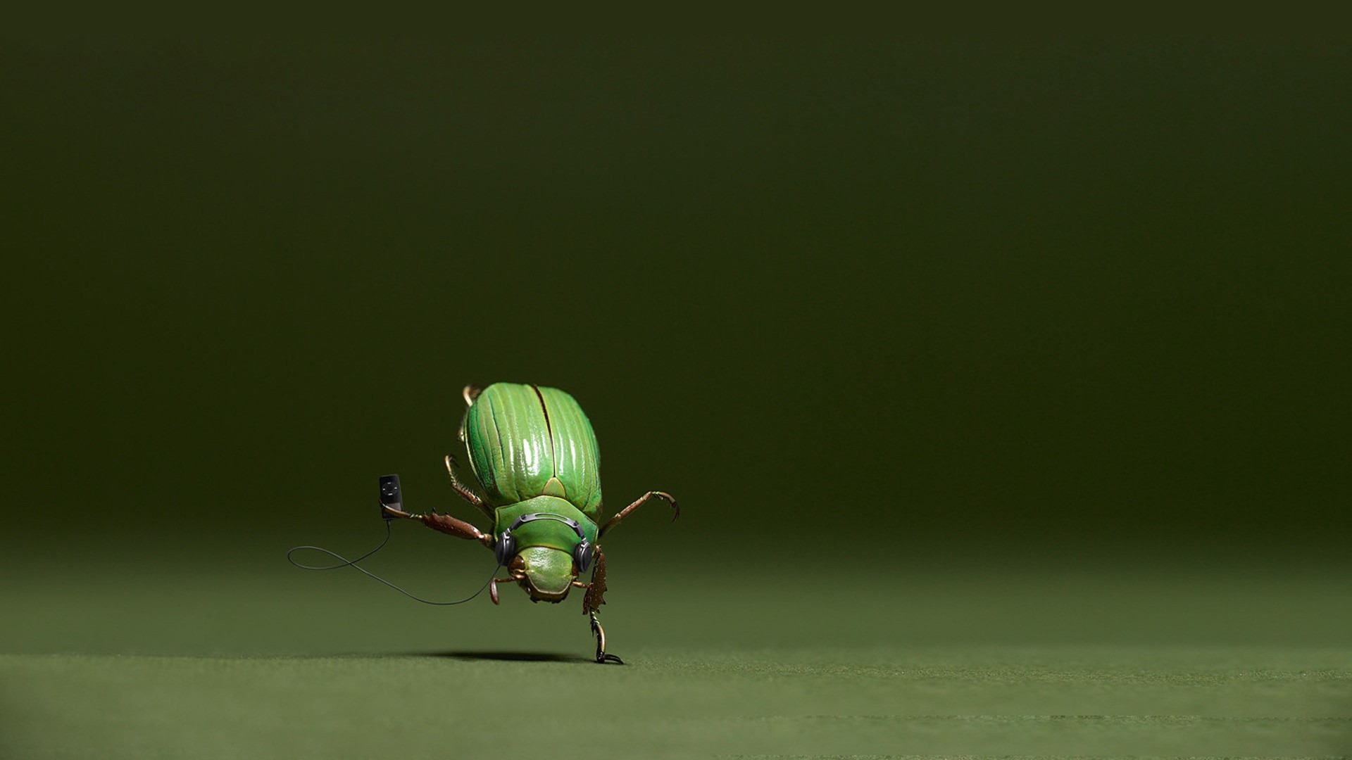 Beetle 1920x1080