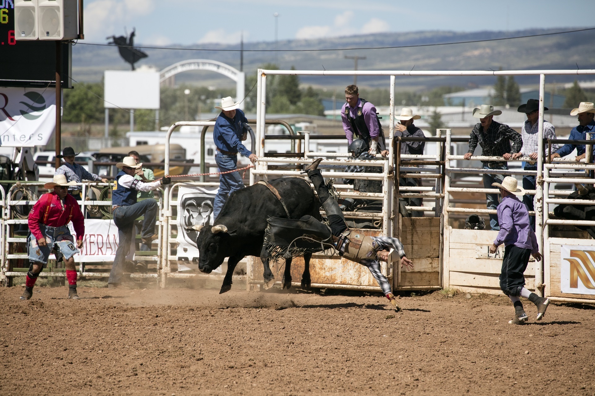 Bull Cowboy Rodeo Sport 1920x1280