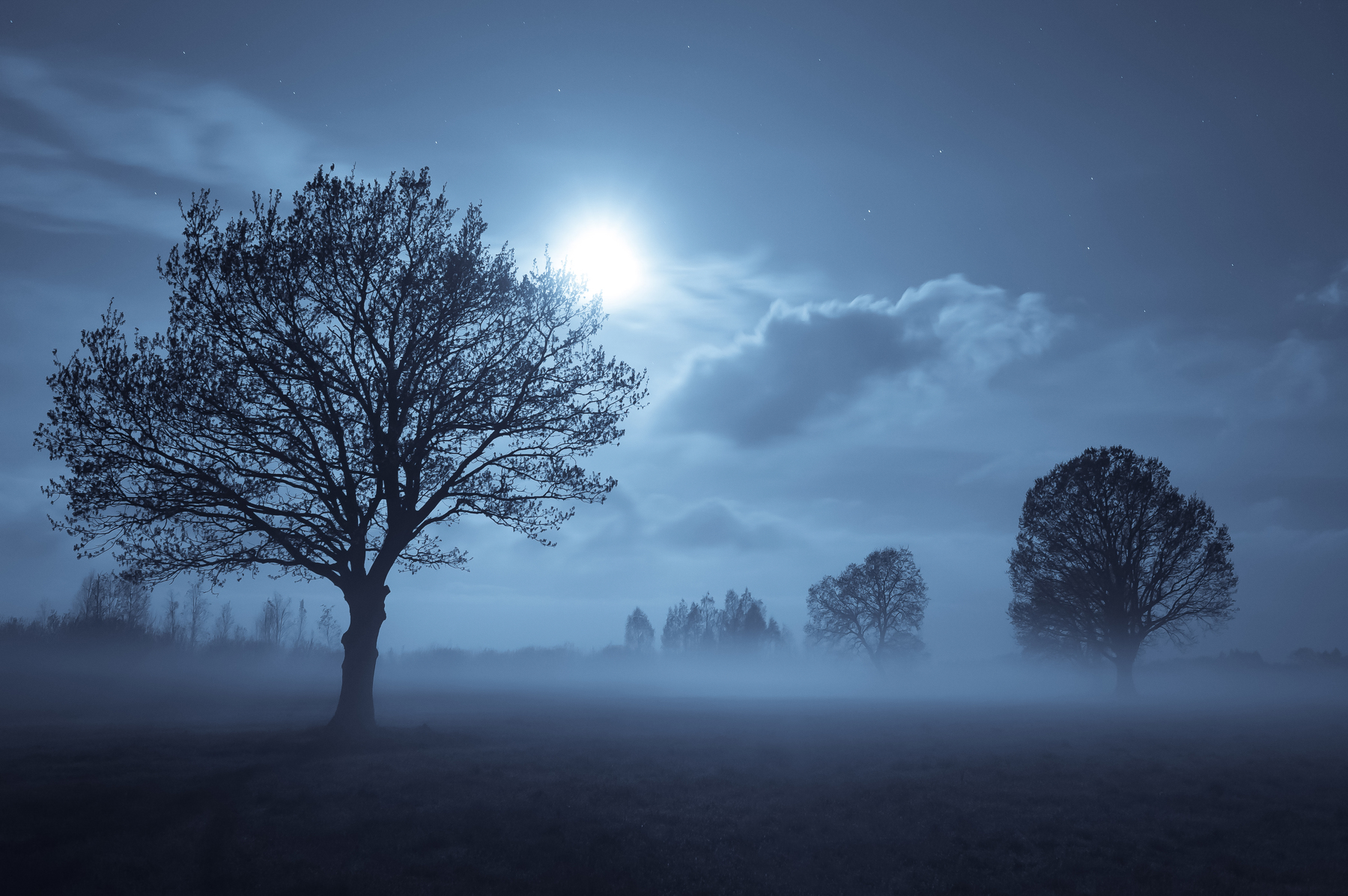 Aleksandr Hvozd Landscape Night Trees Desolate Moon Bright Sky Horizon Mist Stars 1800x1197
