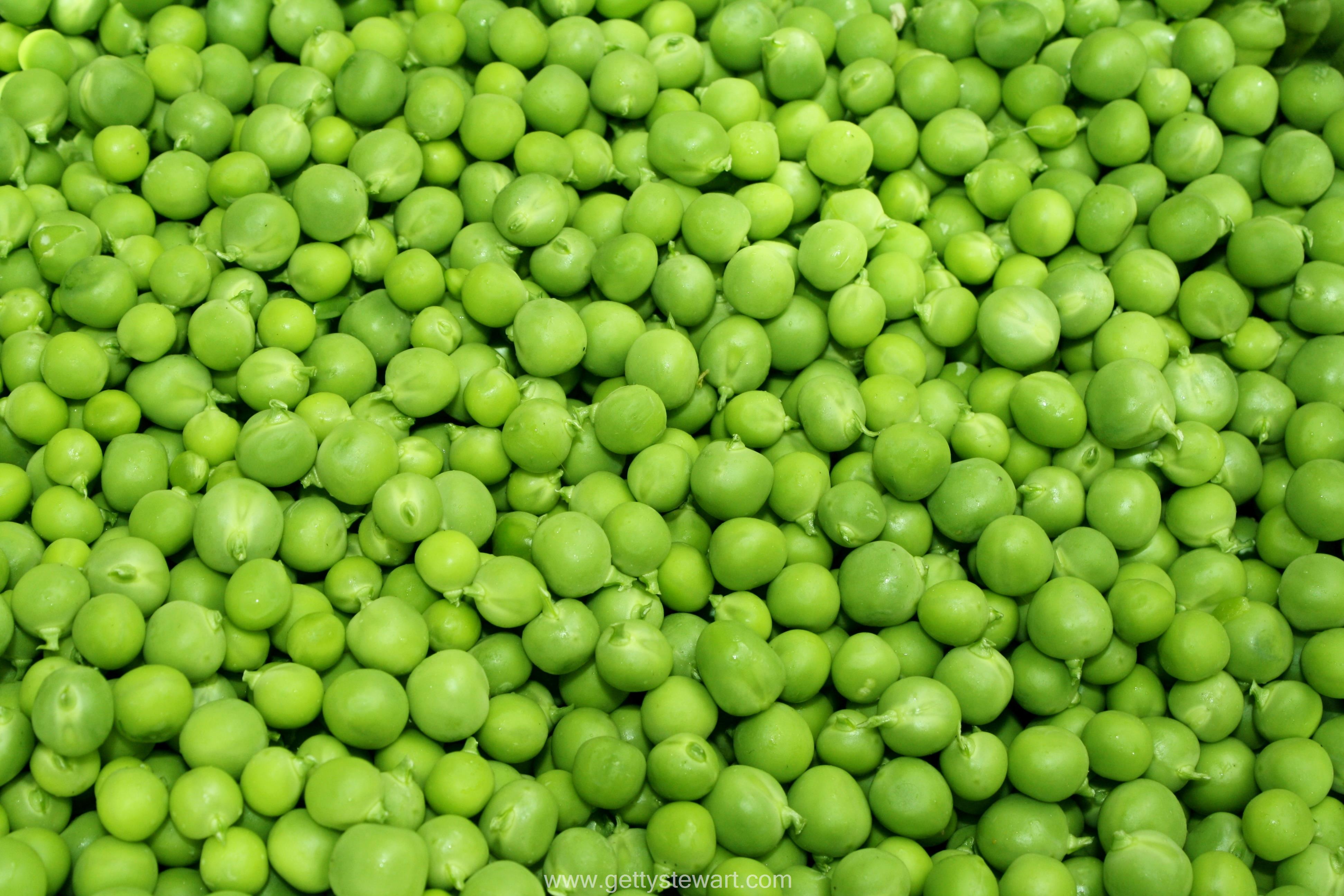 Food Pea 3886x2590