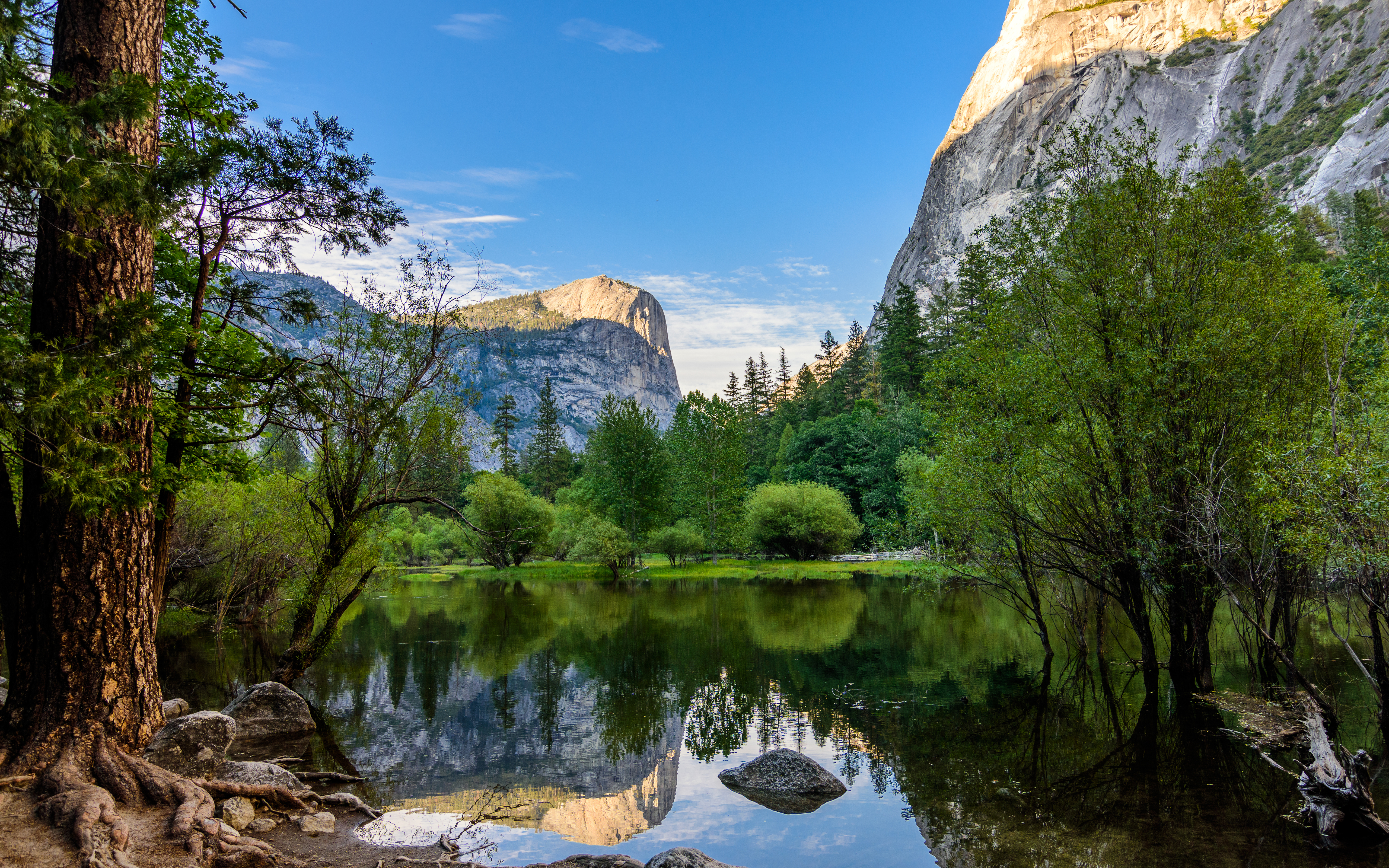 California Cliff Lake Mountain Reflection Tree Yosemite National Park 5120x3200