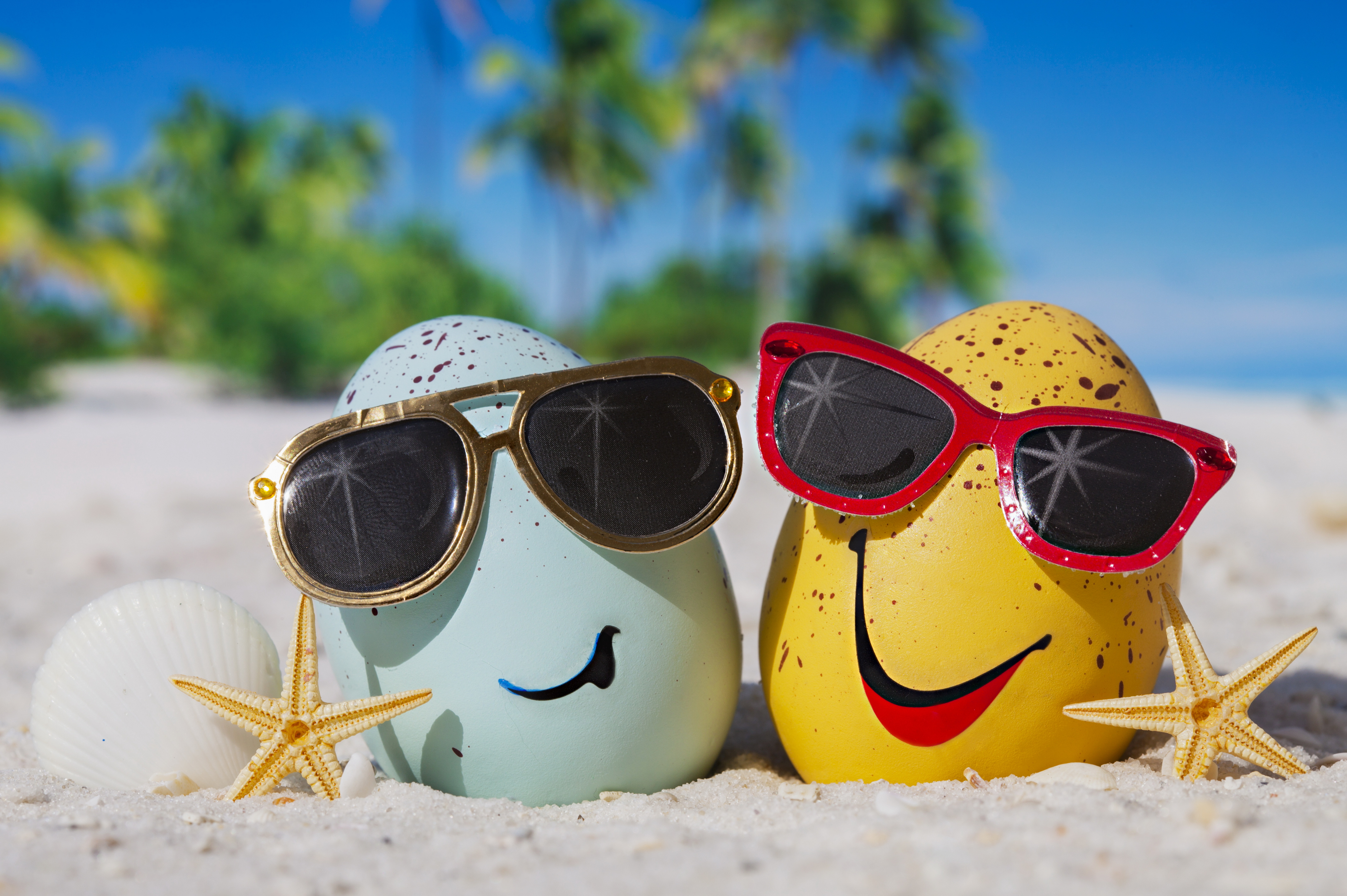 Beach Egg Summer Sunglasses 6500x4324