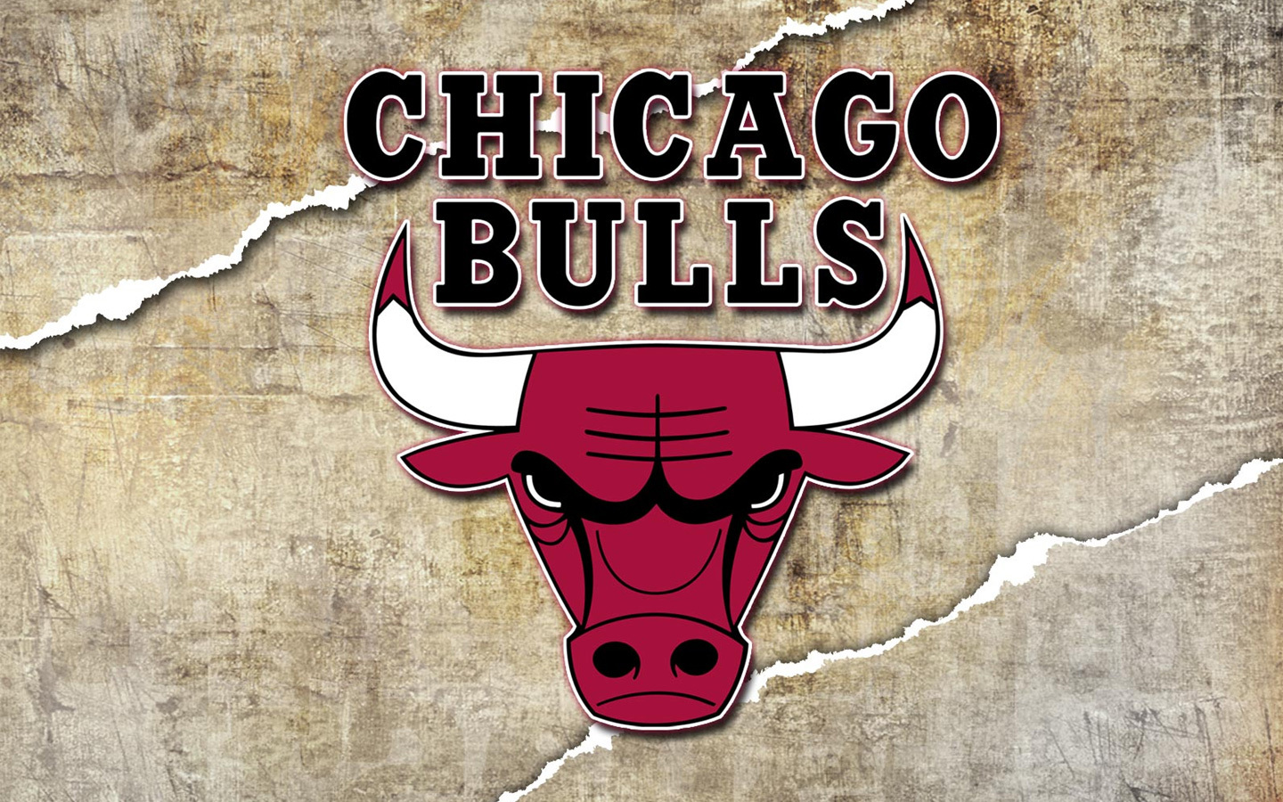 Sports Chicago Bulls 1440x900