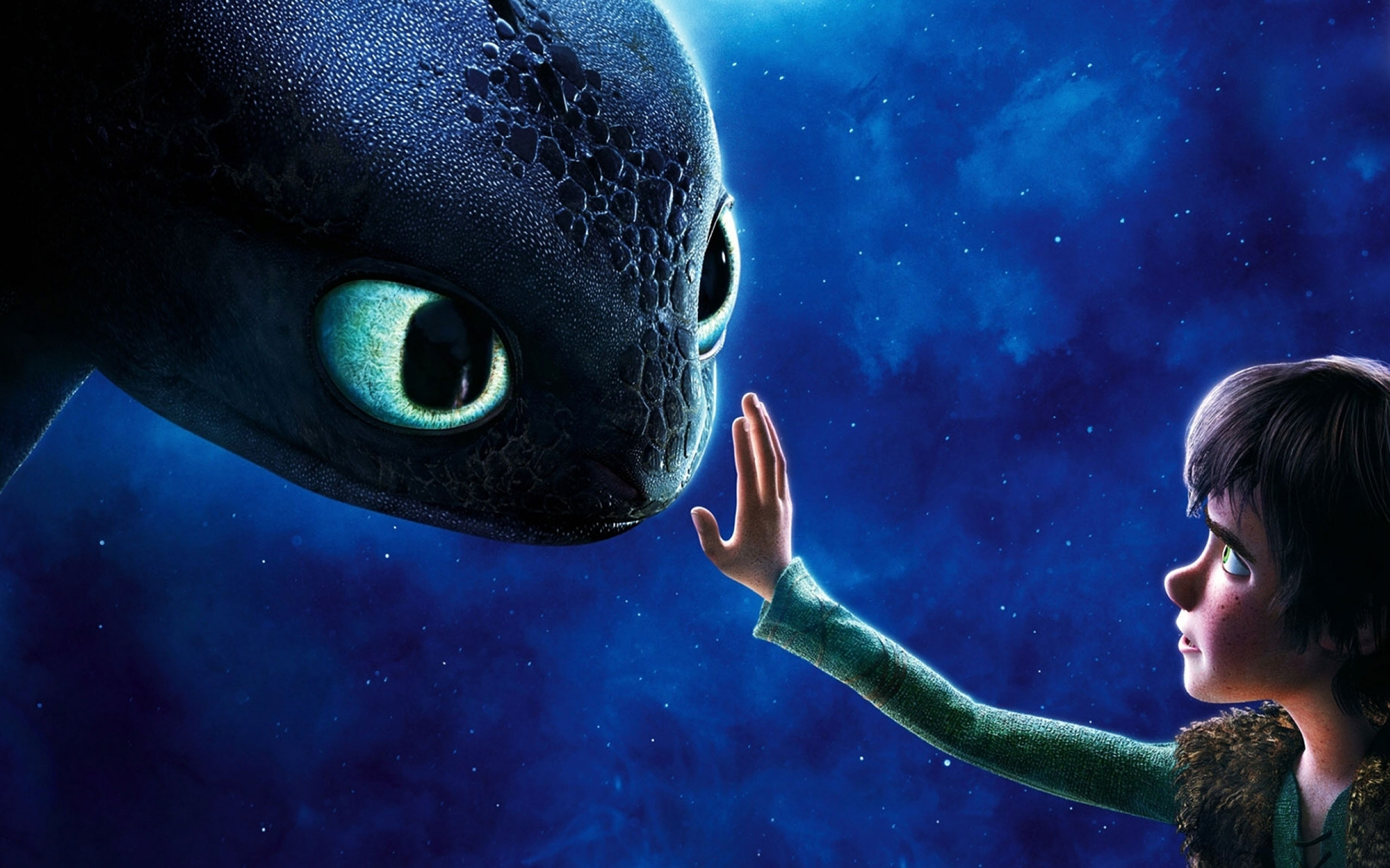 Hiccup How To Train Your Dragon How To Train Your Dragon Toothless How To Train Your Dragon 2560x1600