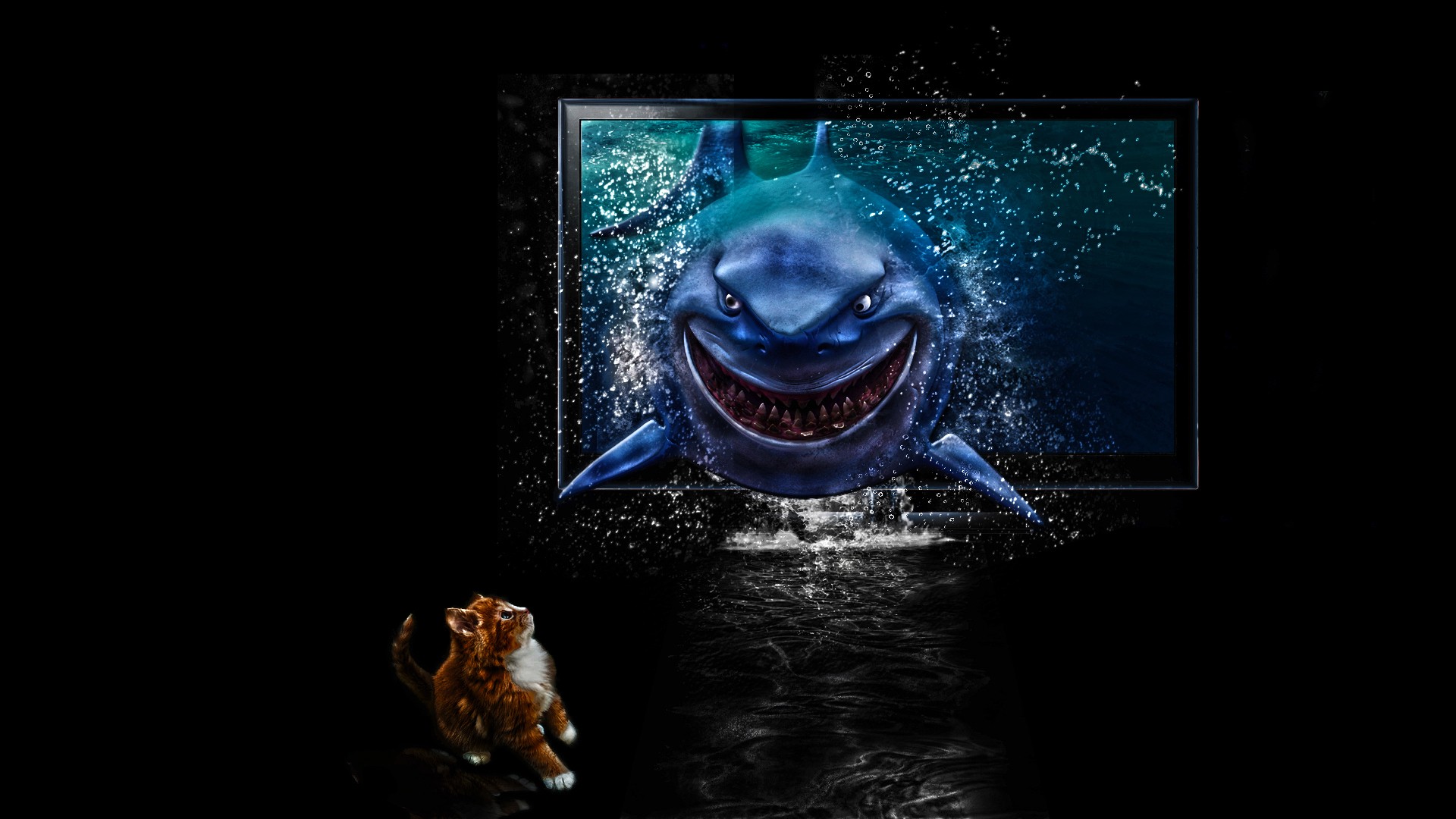 Bruce Finding Nemo Finding Nemo 1920x1080