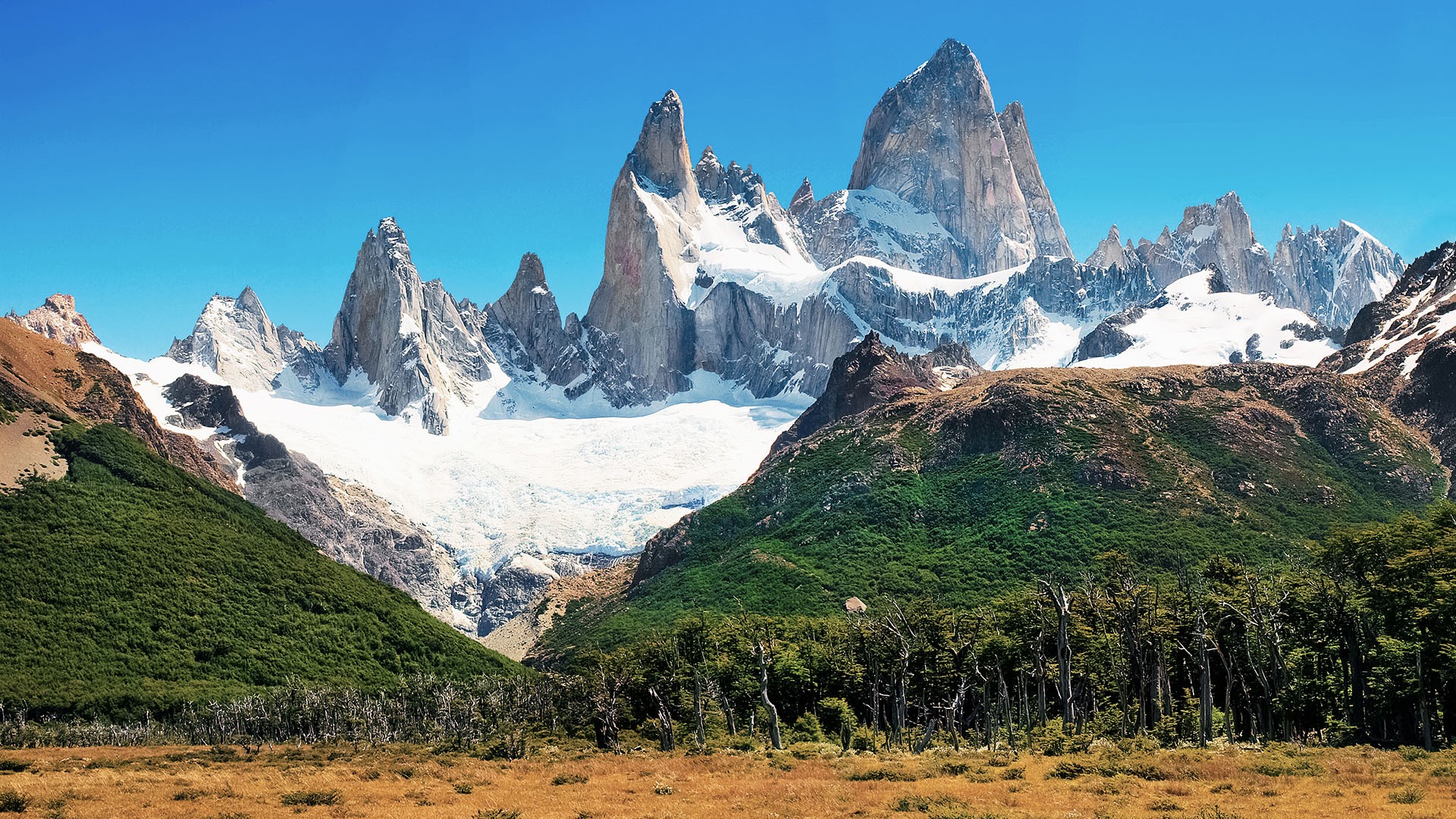 Nature Landscape Snow Mountains Trees Forest Sky Grass Monte Fitz Roy Patagonia Argentina 1920x1080
