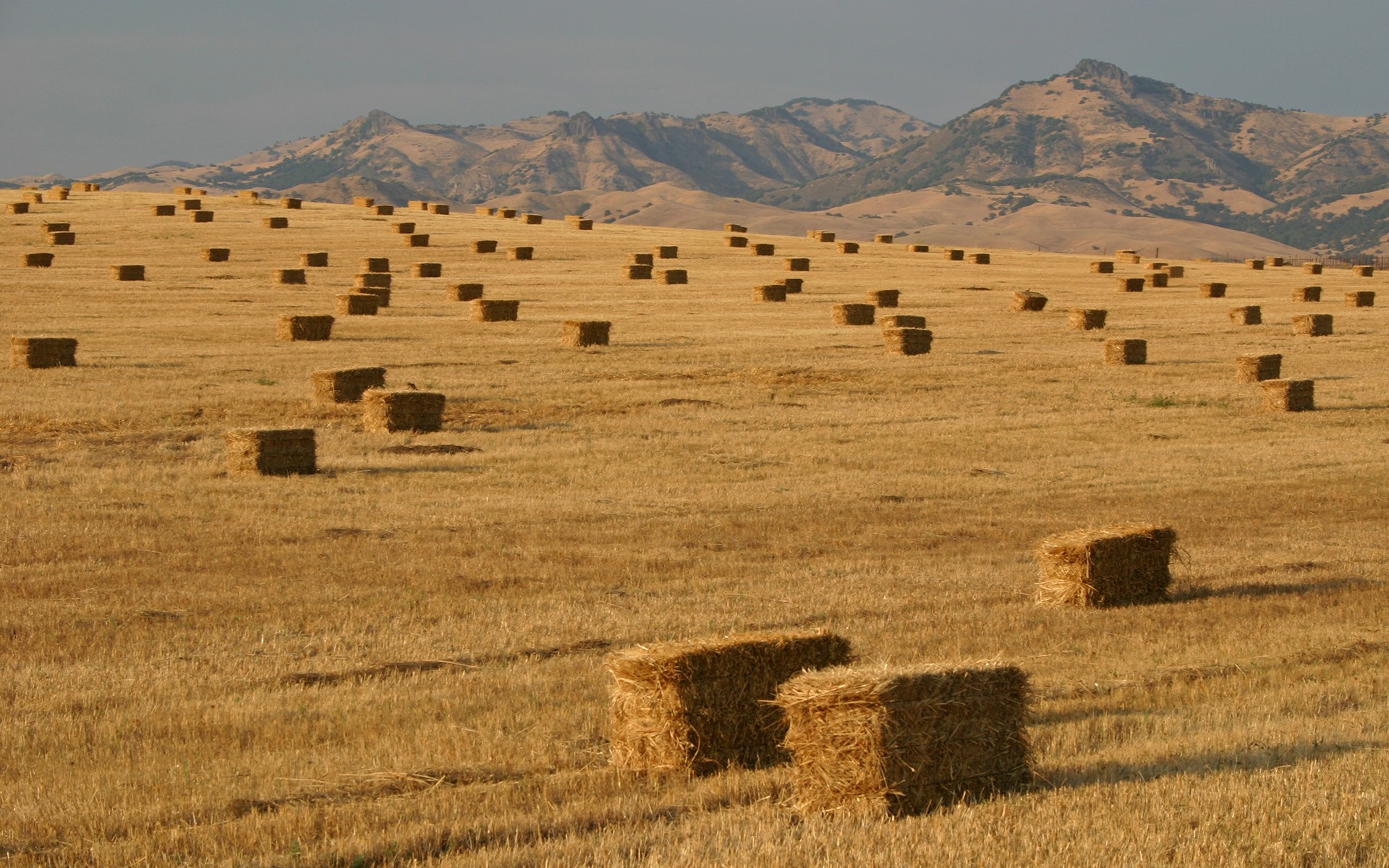 Country Field Haystack Landscape Wheat 1920x1200