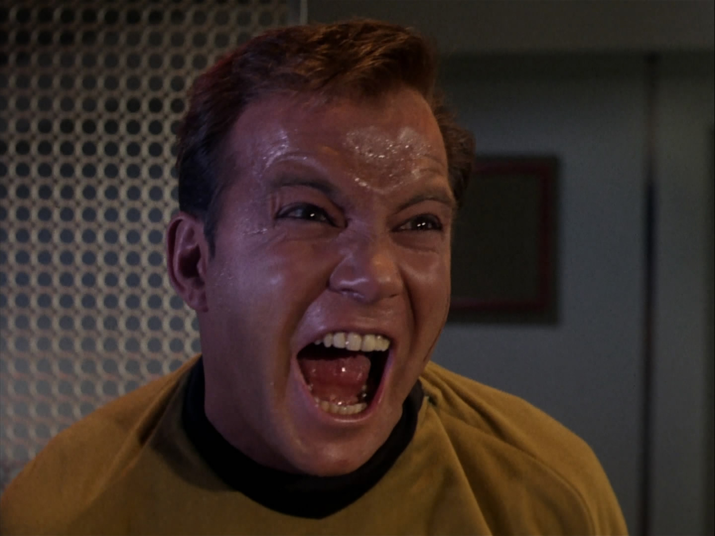 James T Kirk Star Trek William Shatner 1440x1080