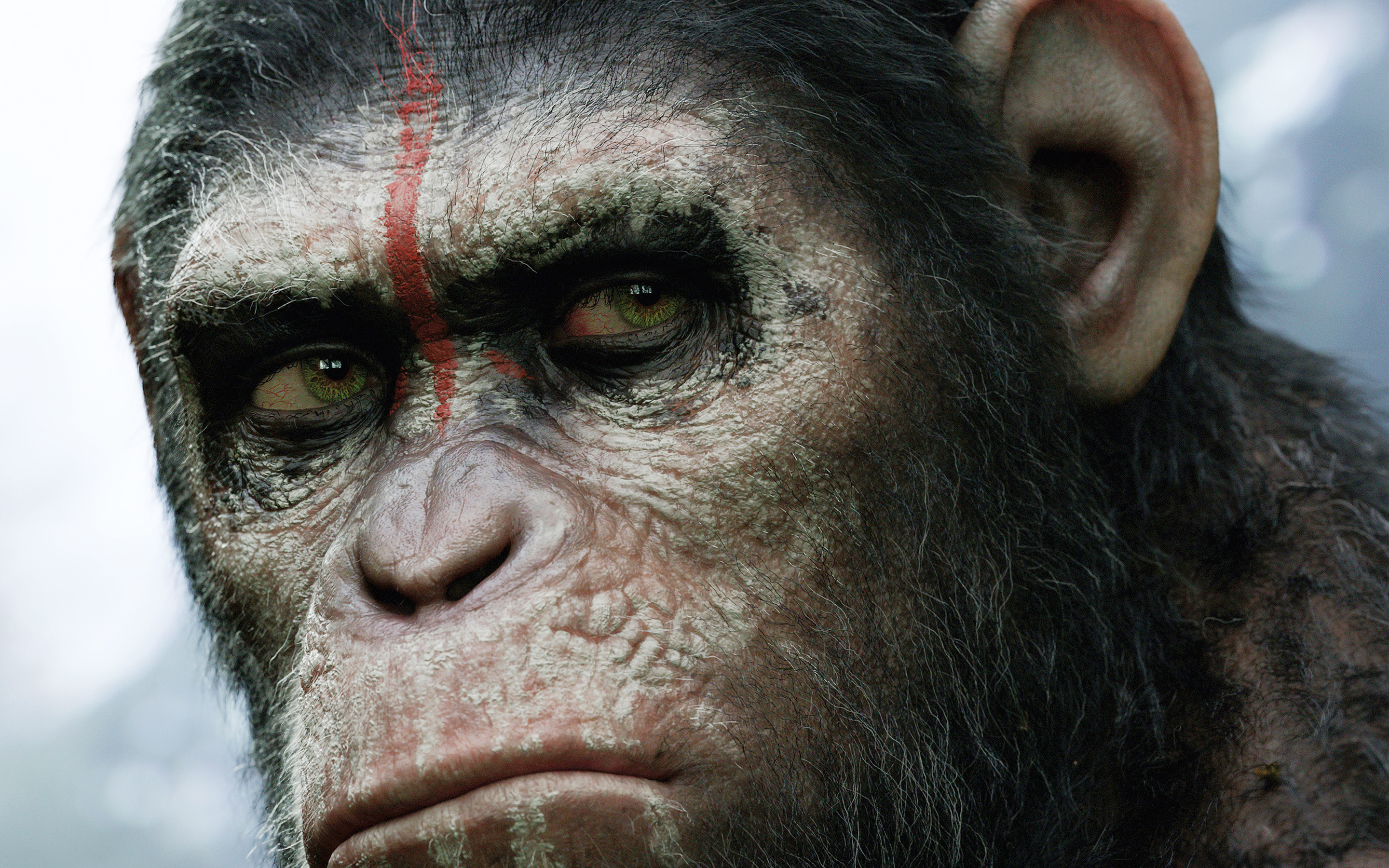 Movie Dawn Of The Planet Of The Apes 2880x1800