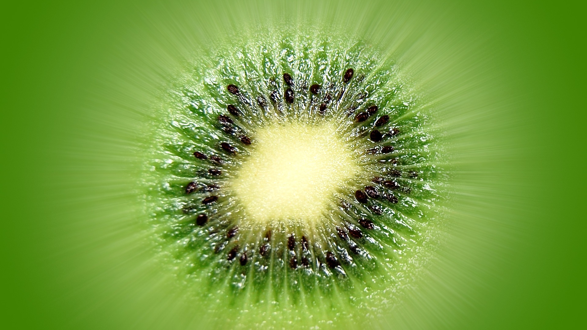Close Up Fruit Green Kiwi 1920x1080