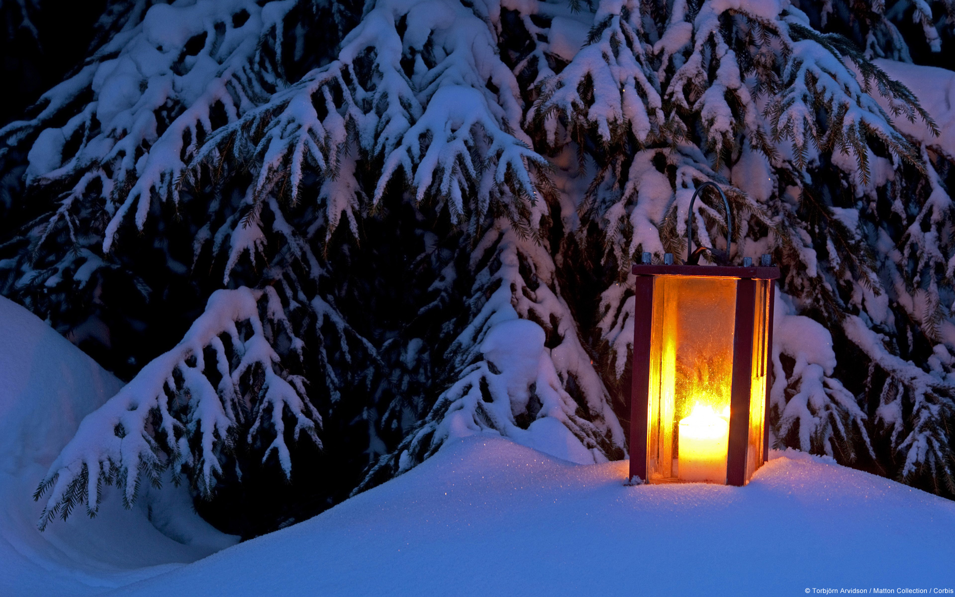 Lantern Light Snow Tree Winter 1920x1200