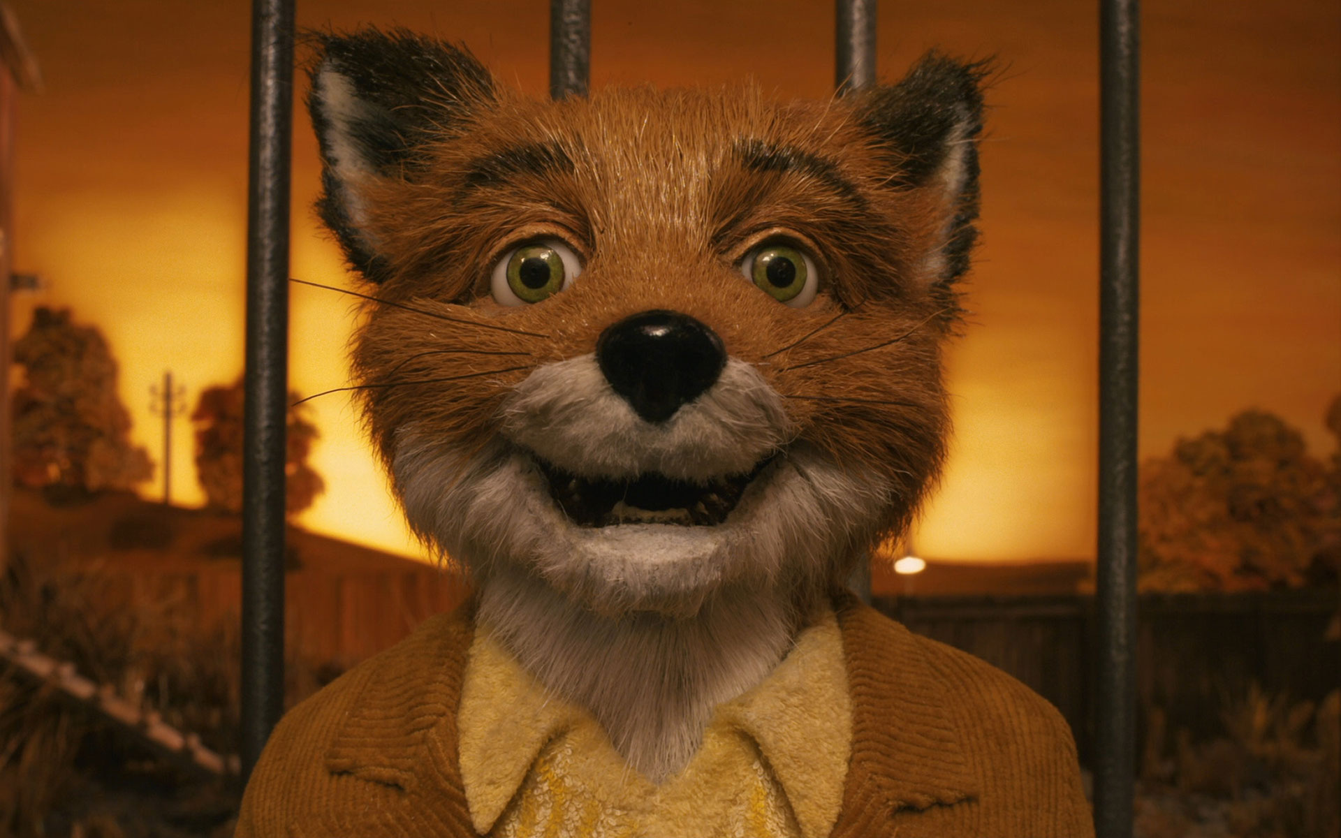 Fantastic Mr Fox 1920x1200