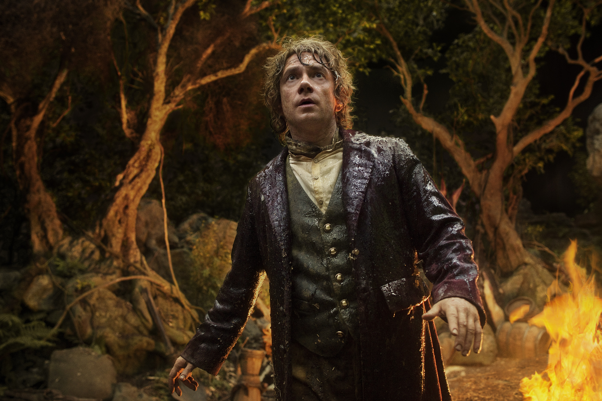 Movie The Hobbit The Desolation Of Smaug 1920x1280