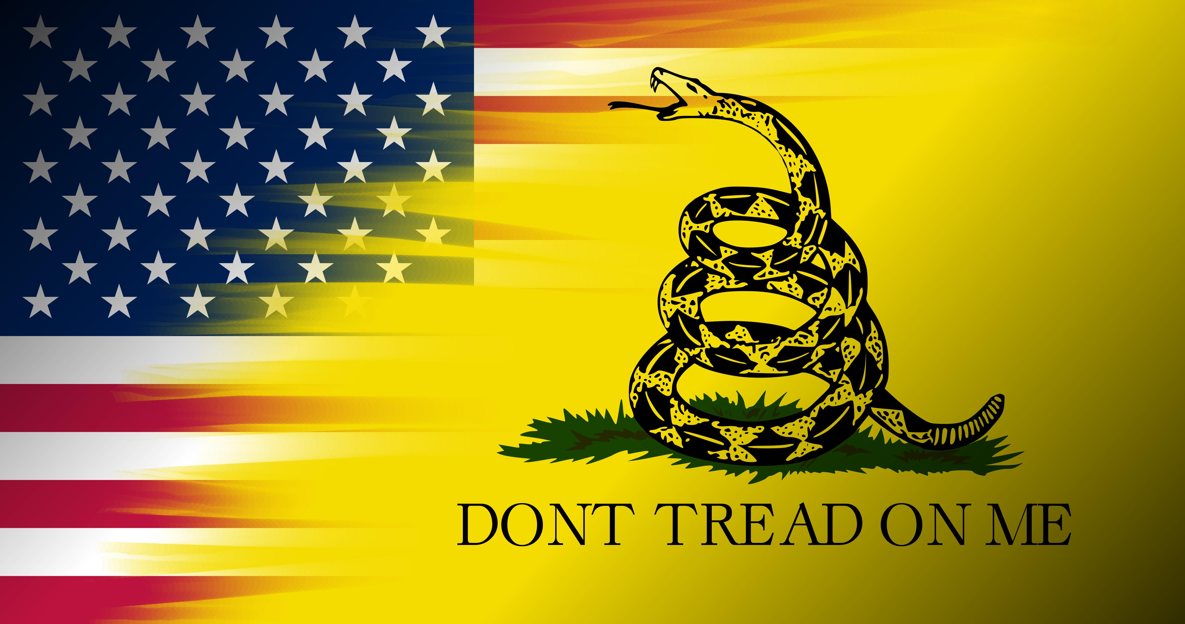 Misc Gadsden Flag 4560x2400