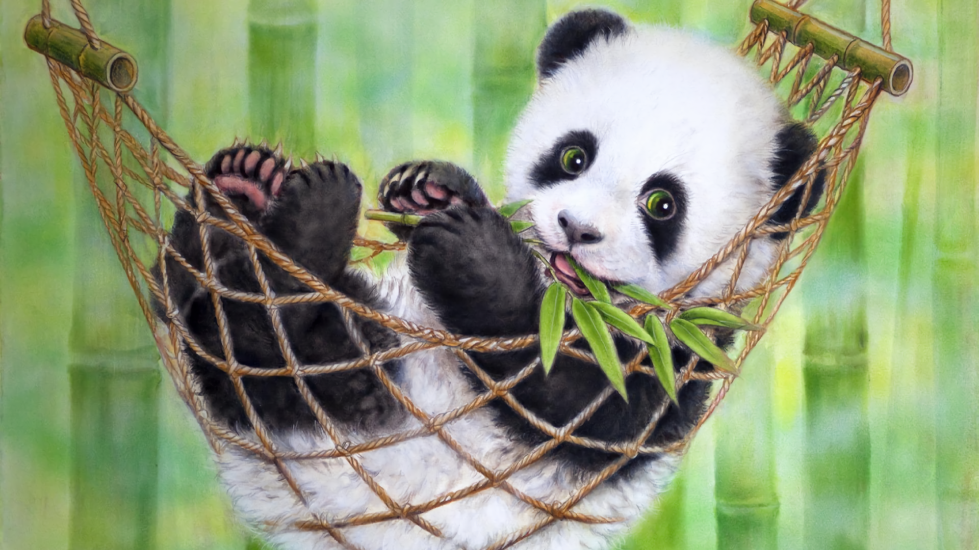 Artistic Baby Animal Hammock Panda 1920x1080