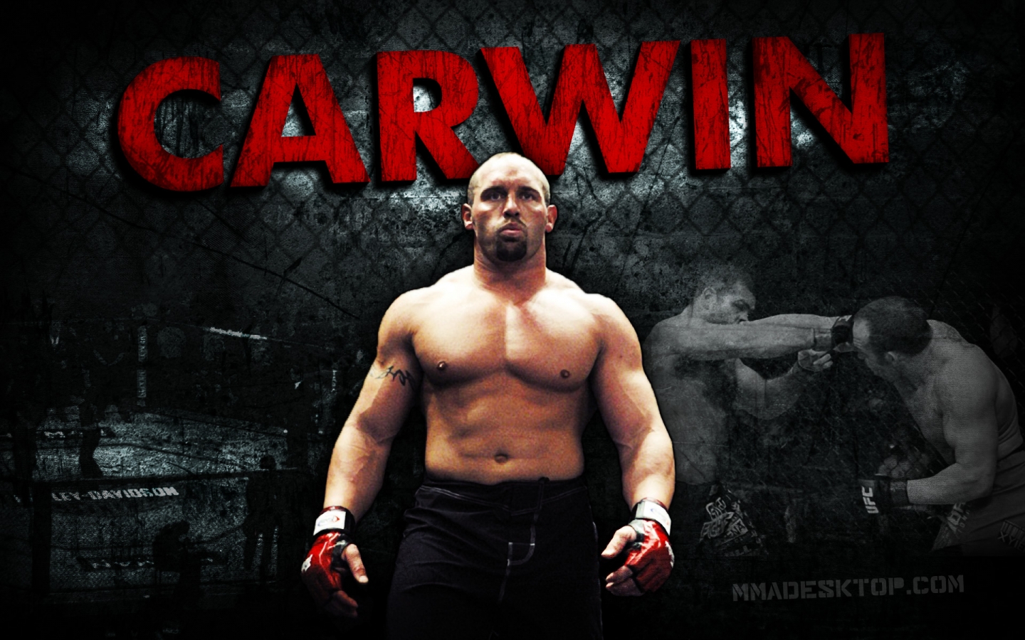 Carwin Mma 1440x900