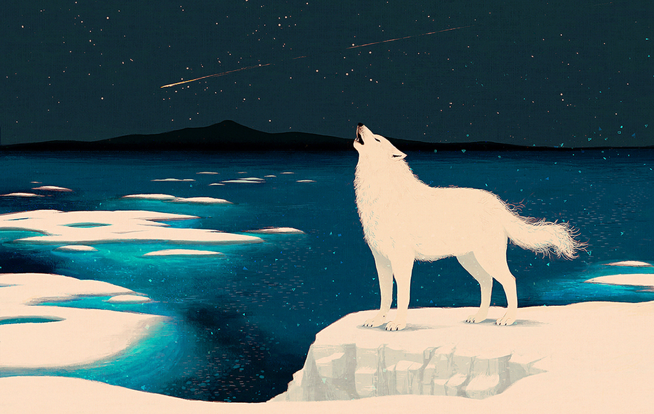 Animal Arctic Wolf 1280x811