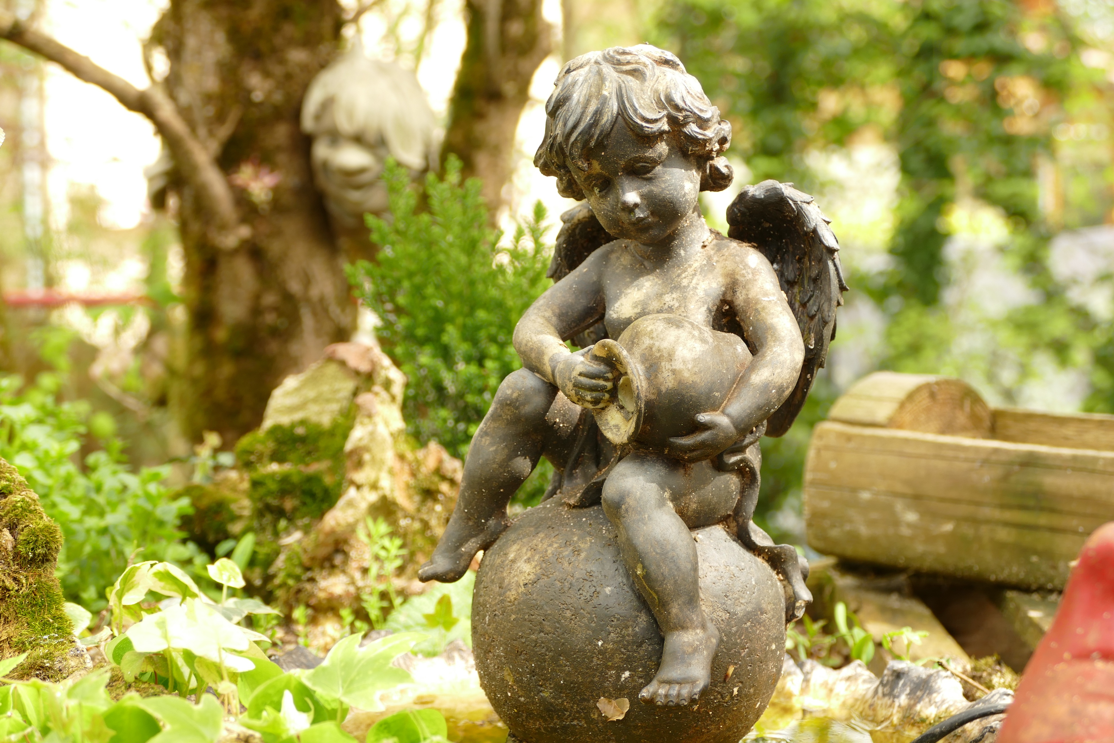 Angel Statue Blur Bokeh Cherub Garden Man Made Old Statue 3888x2592