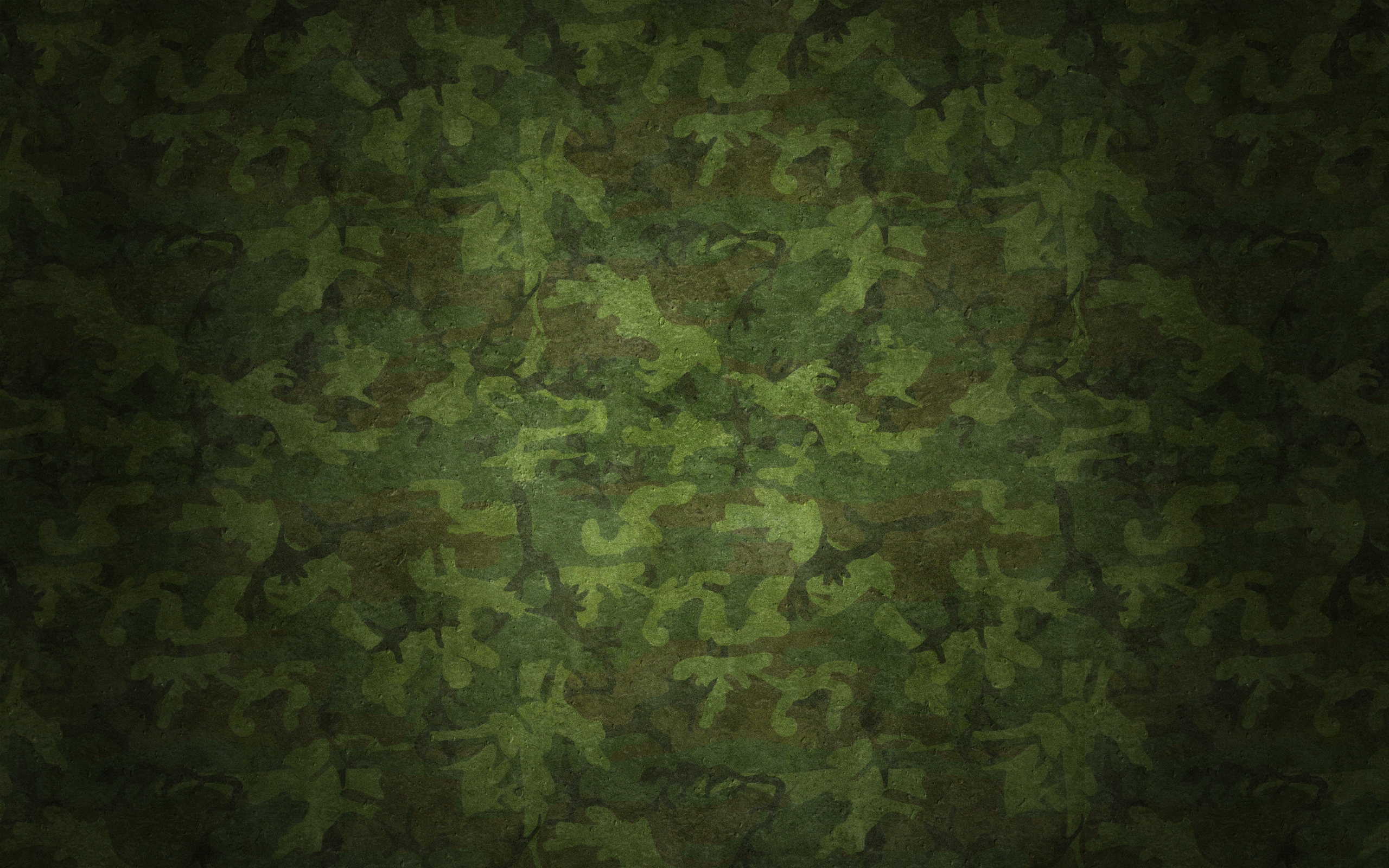 Camouflage 2560x1600