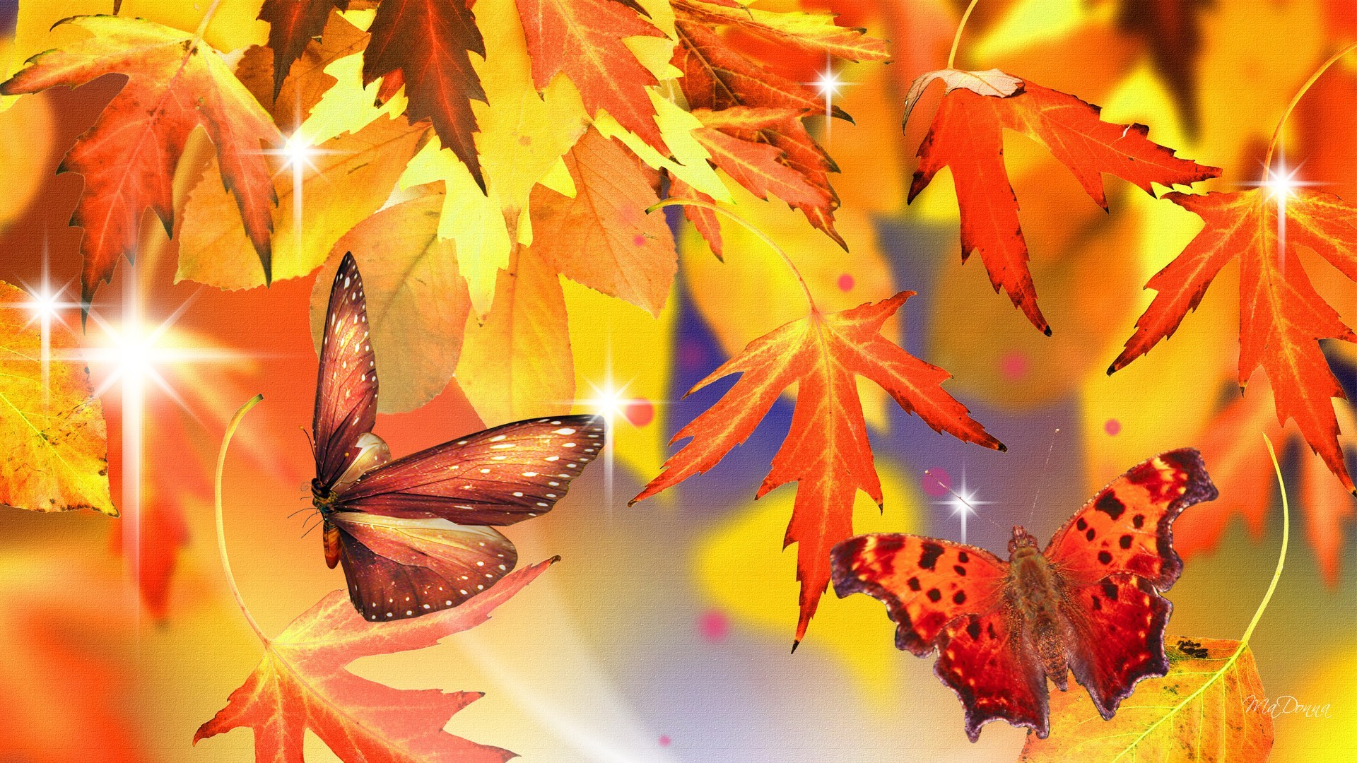 Осень красивые бабочки