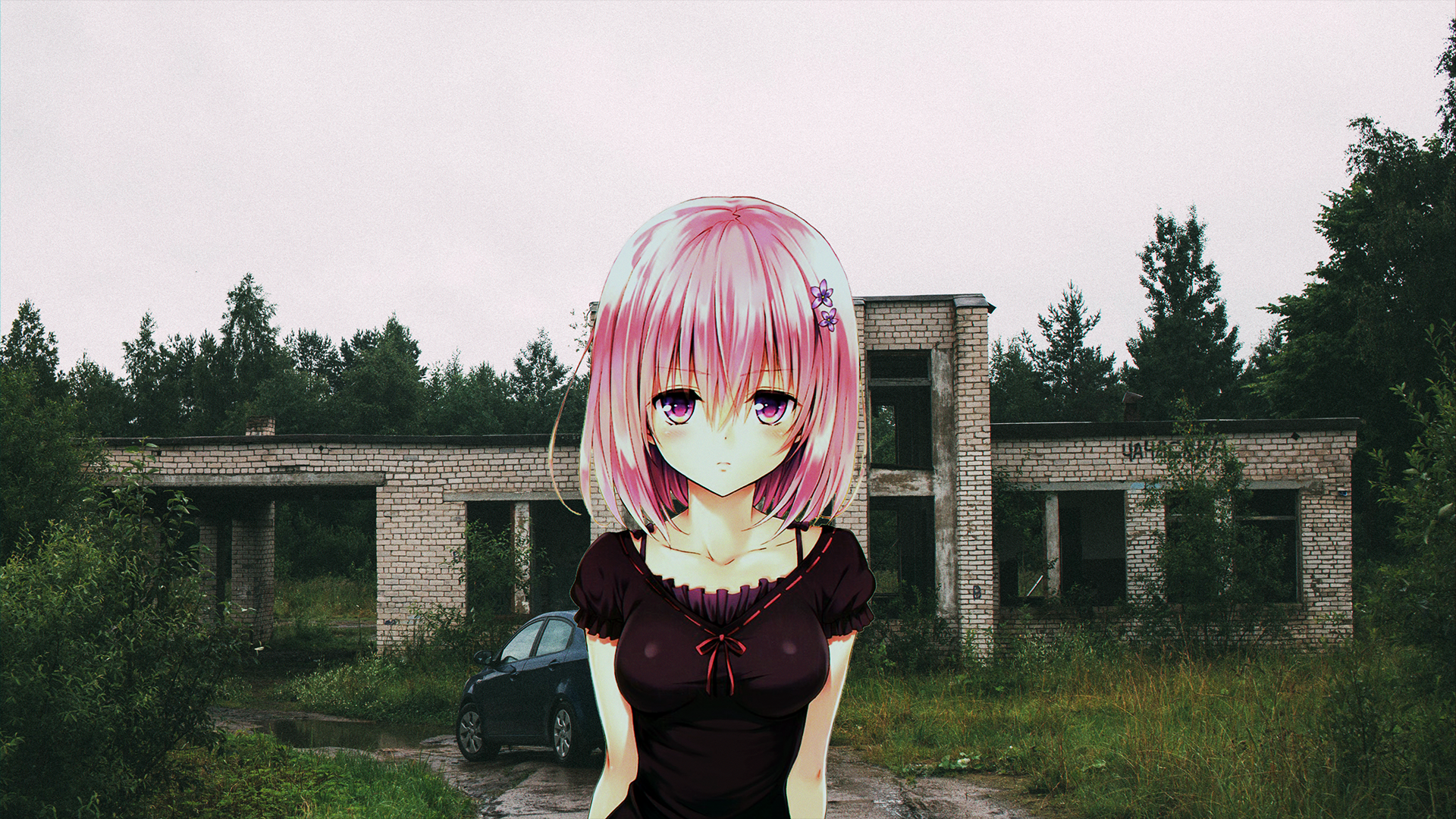 Anime Anime Girls Pink Hair Building Abandoned Russia Anime Irl To Love Ru 1920x1080