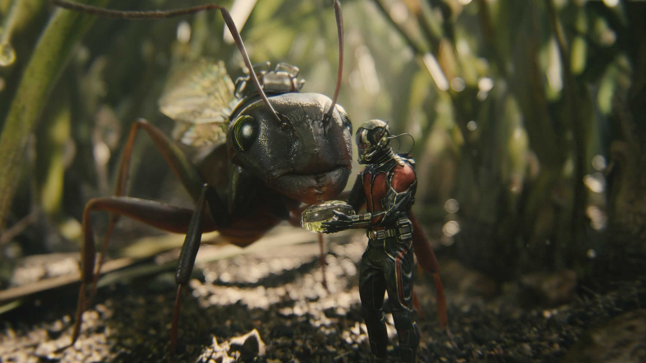 Movie Ant Man 2160x1216