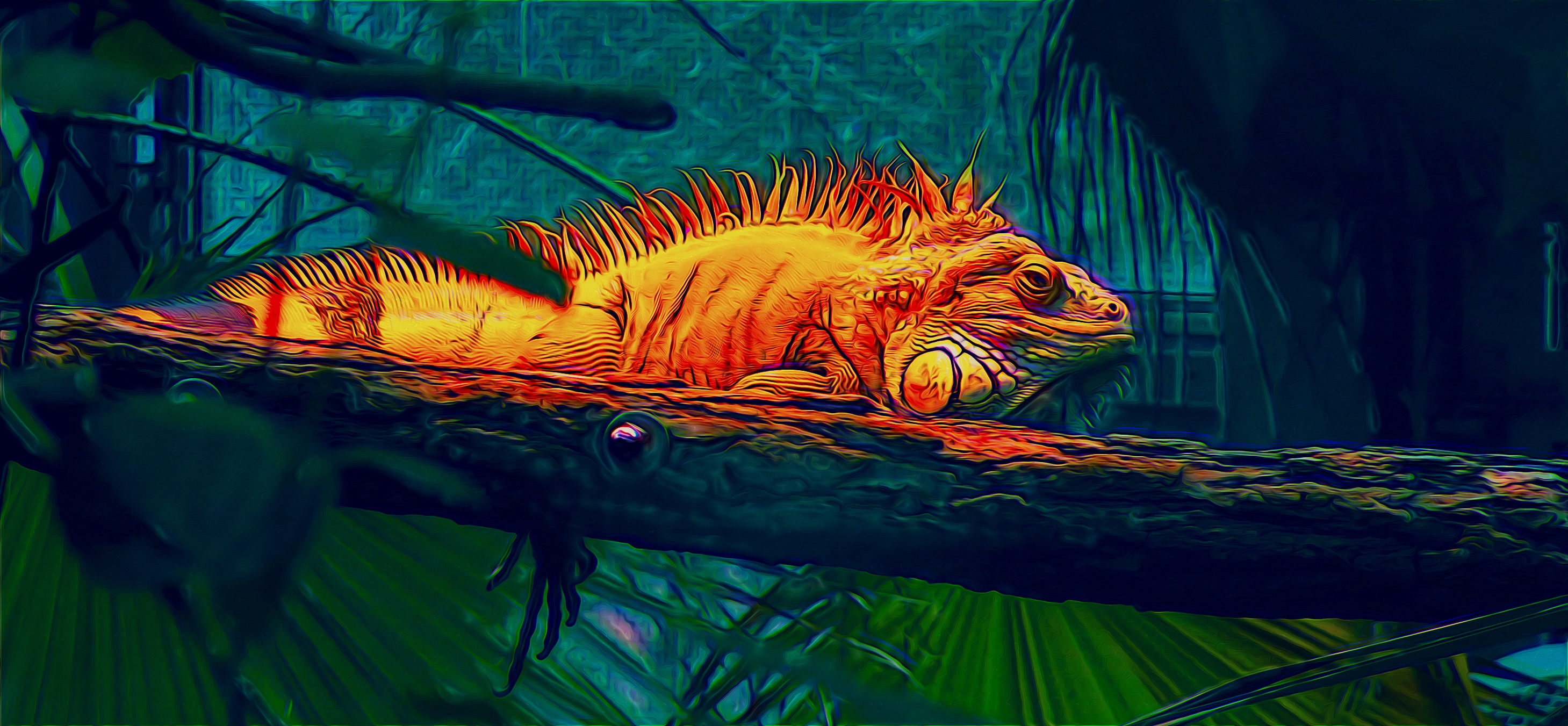 Animal Artistic Branch Digital Art Iguana Lizard Manipulation Reptile Orange Color 2918x1351
