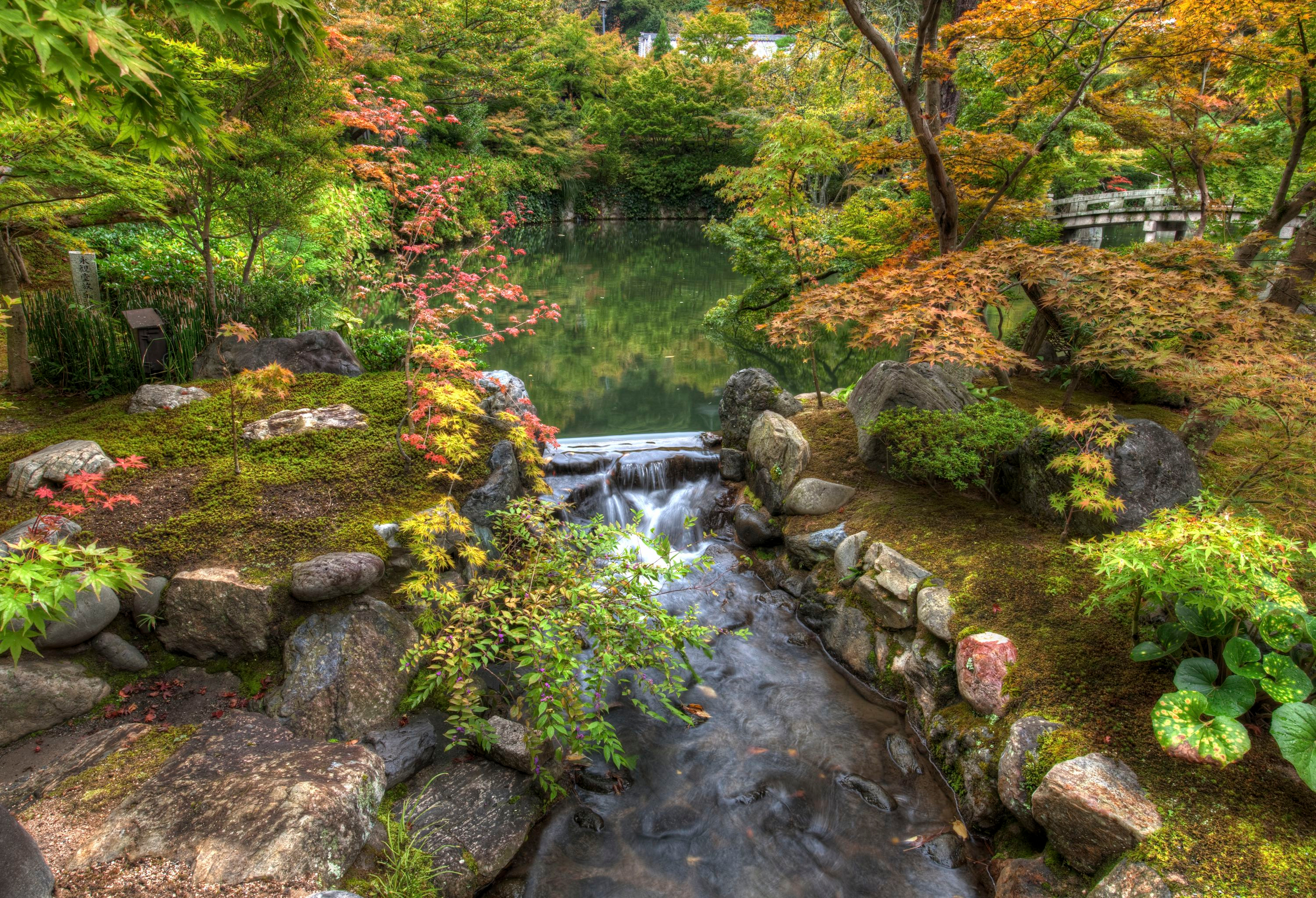 Bush Fall Foliage Garden Japan Kyoto Nature Park Rock The Harmony Garden 3000x2047