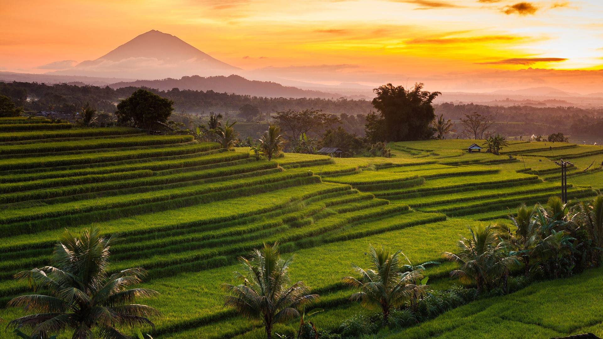 Nature Landscape Mountains Trees Field Sky Sunset Clouds Far View Rice Terrace Bali Indonesia 1920x1080