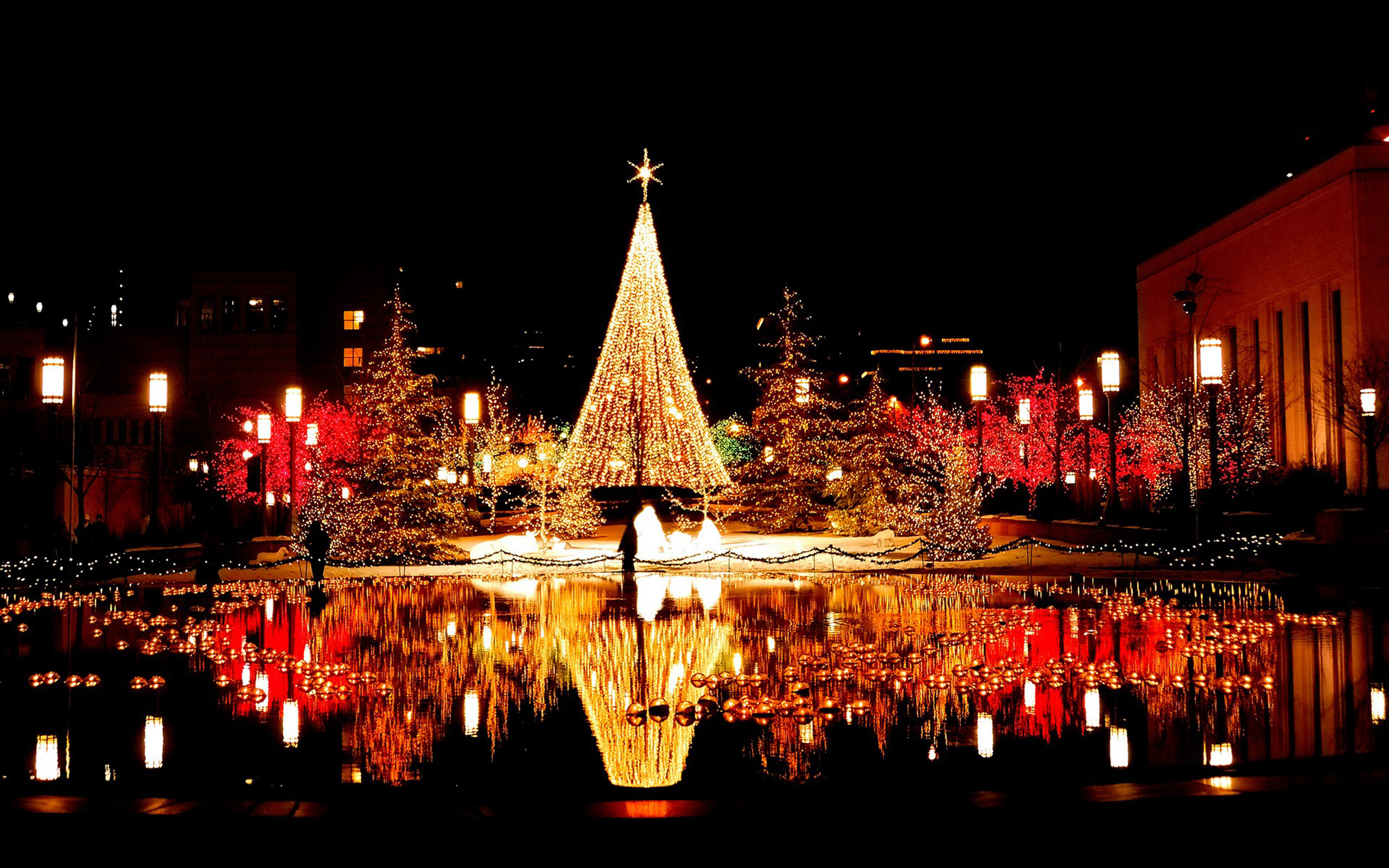 Christmas Christmas Lights Christmas Tree Night Reflection 2560x1600
