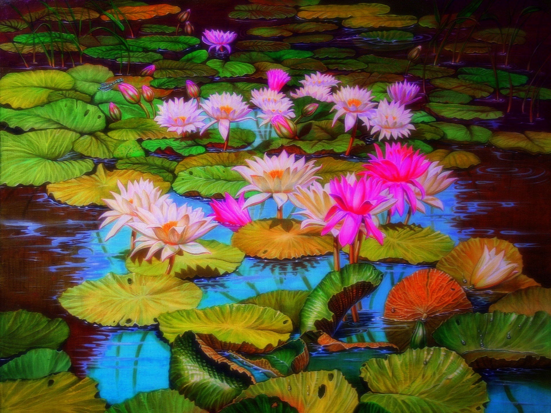 Artistic Flower Lily Pad Lotus Nature Painting Pink Flower Pond 1920x1440