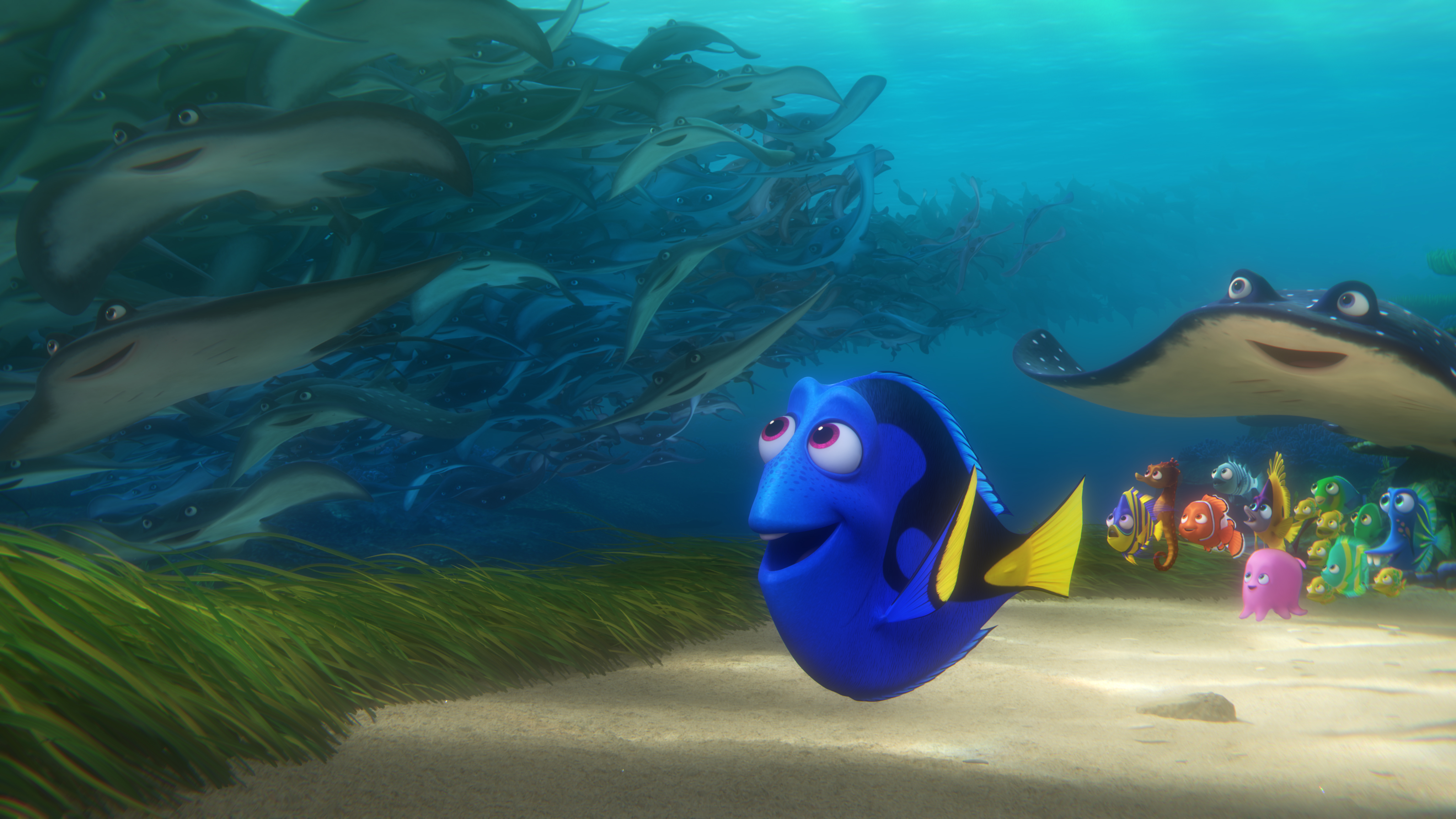 Dory Finding Nemo Finding Dory Mr Ray Finding Nemo 4096x2303