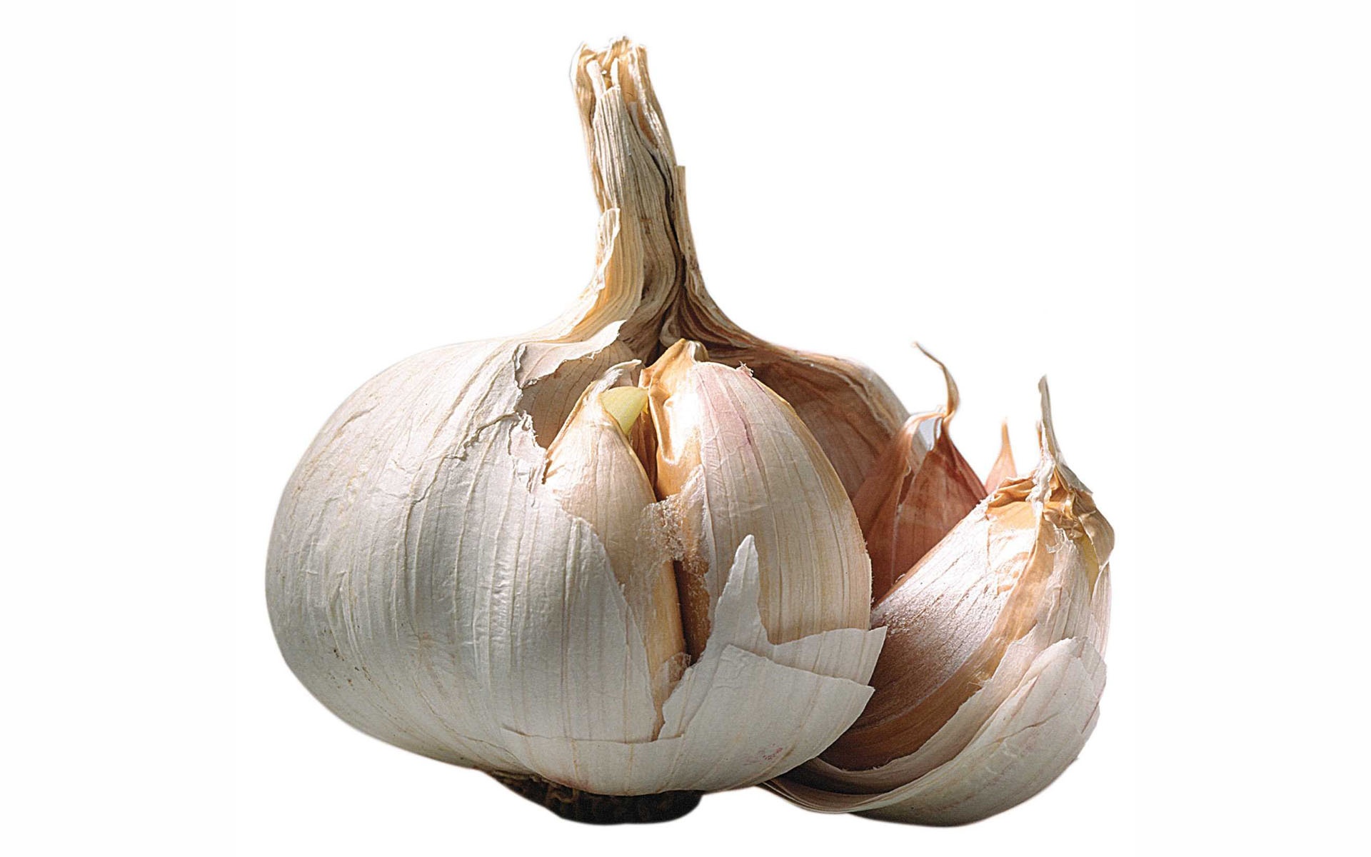Food Garlic 1920x1200