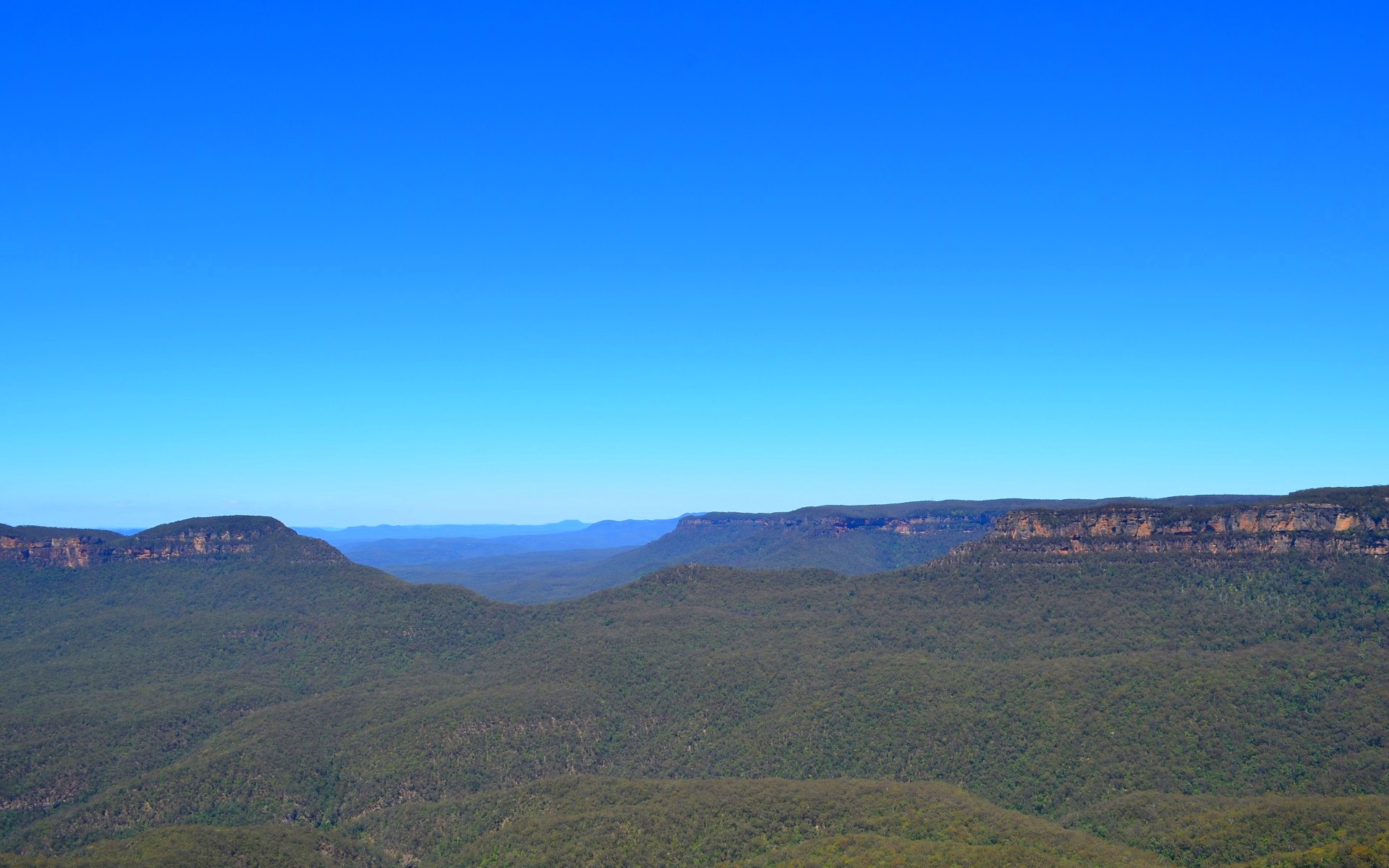 Australia Blue Mountains Forest Katoomba Mountain 1920x1200