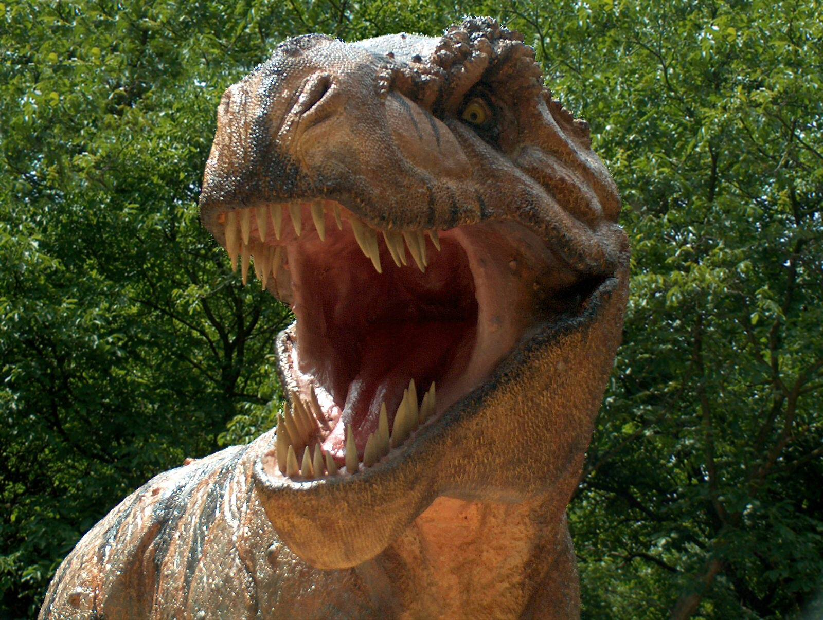 Tyrannosaurus Rex 1600x1206