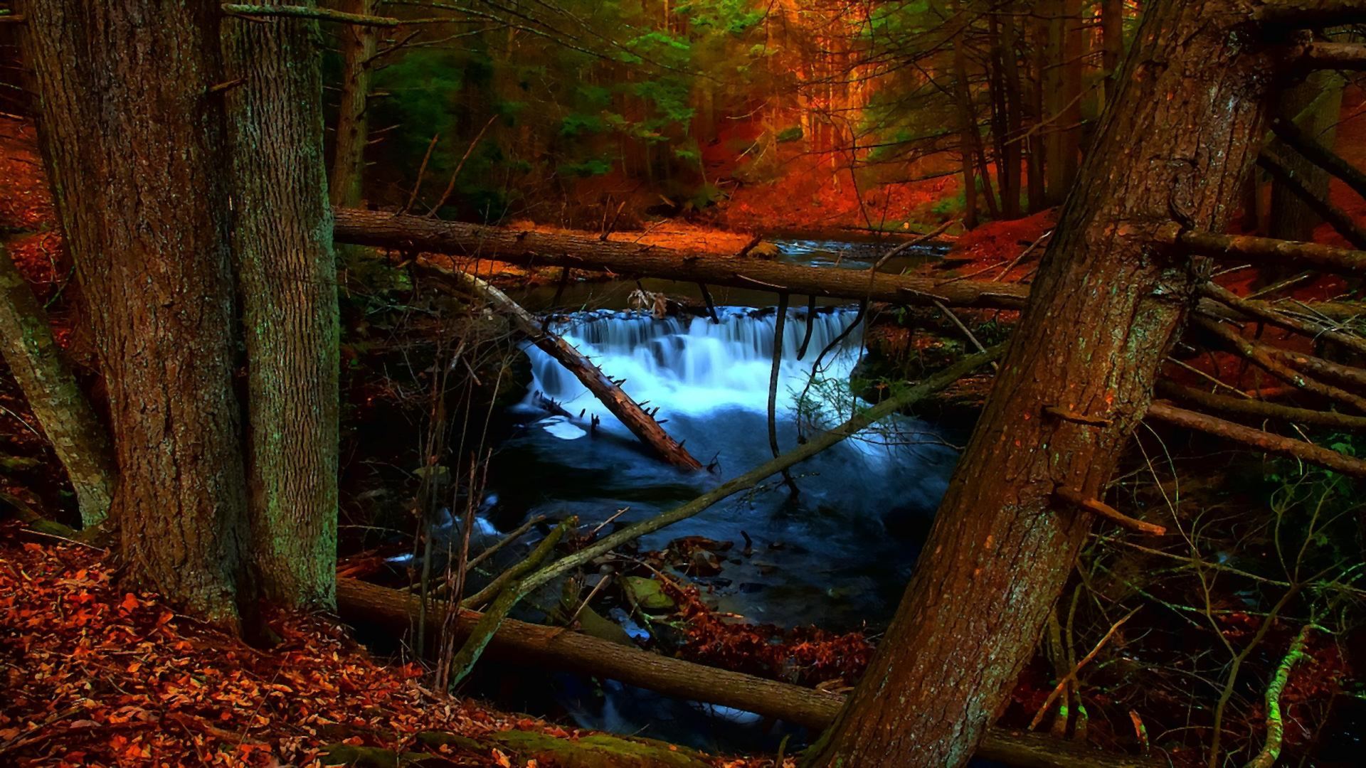 Creek Earth Fall Foliage Forest Stream Tree Waterfall 1920x1080
