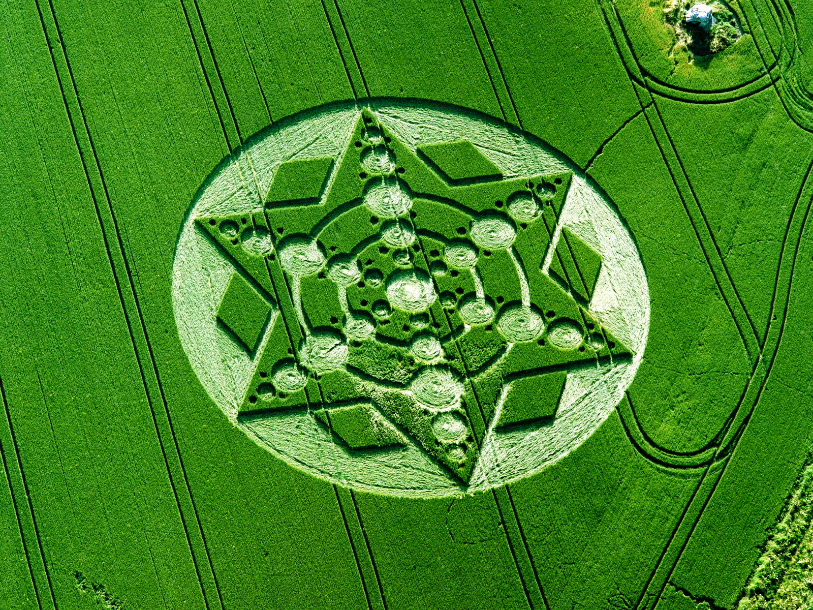 Man Made Crop Circles 1600x1200