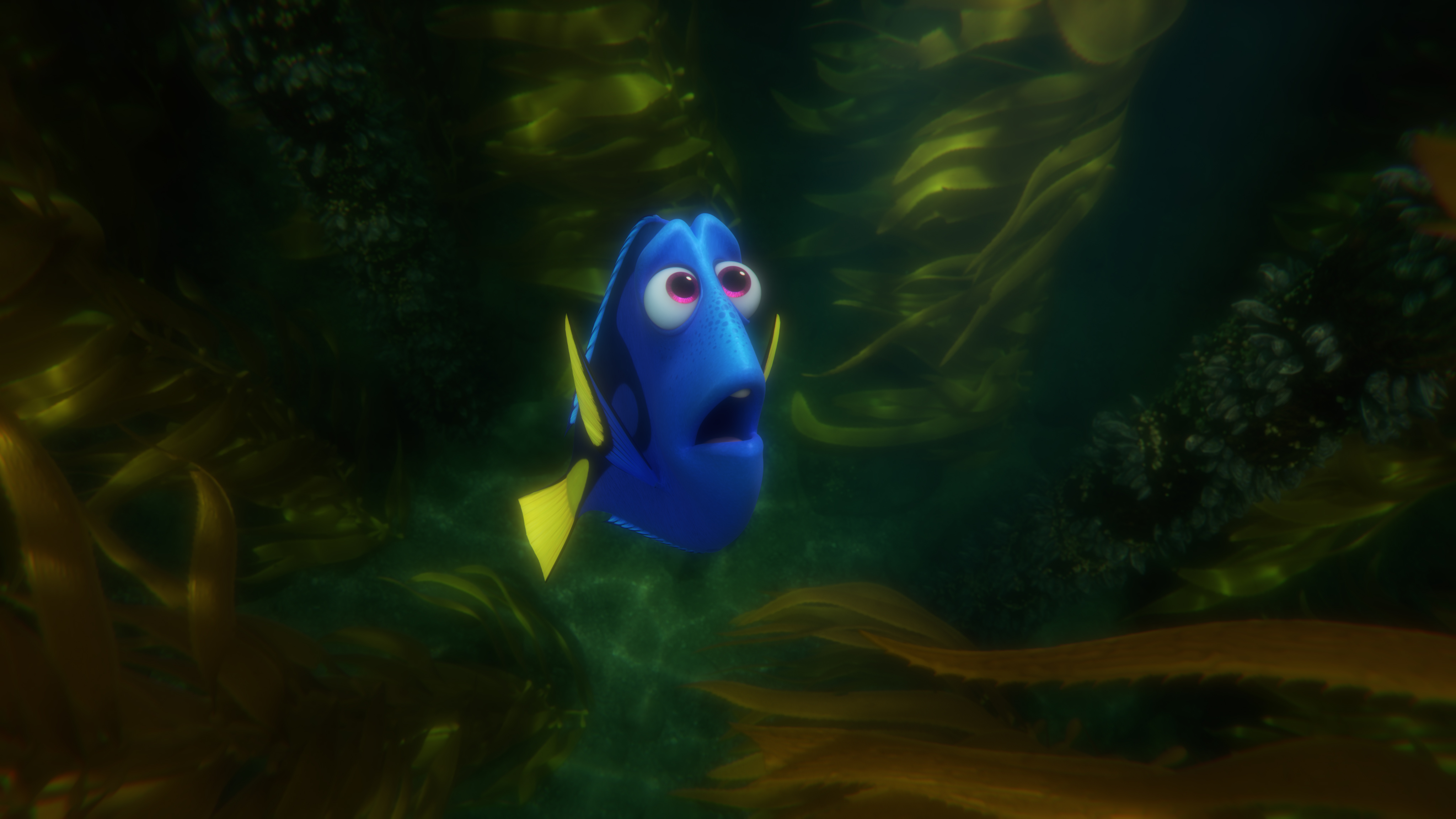 Dory Finding Nemo Finding Dory 4096x2304