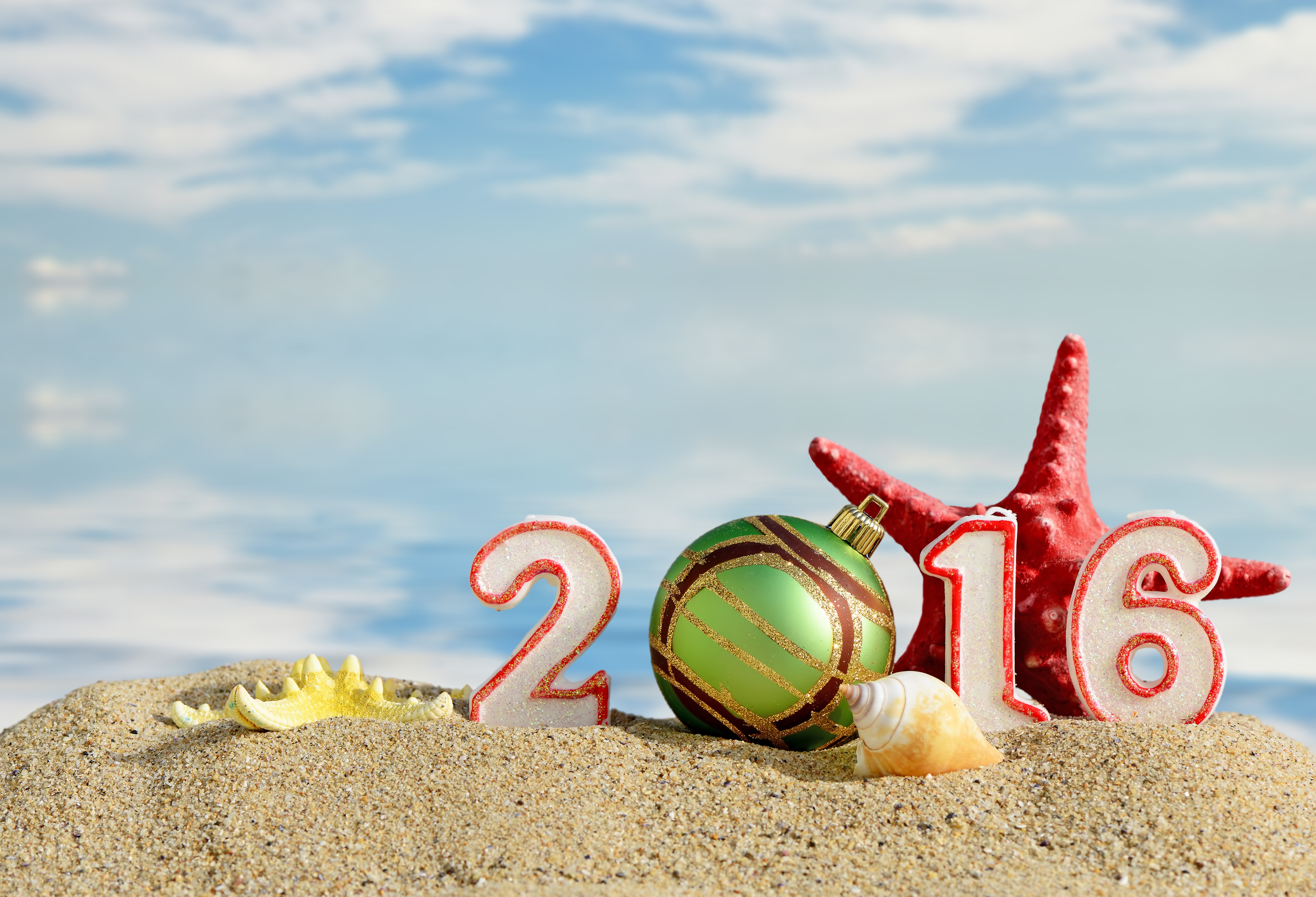 Beach Christmas Ornaments New Year New Year 2016 Sand Shell Star Fish 6860x4675