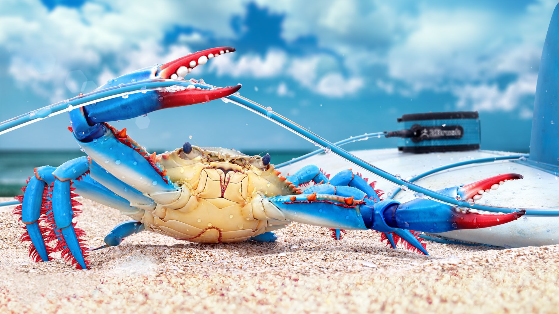 Beach Crab Sun 1920x1080