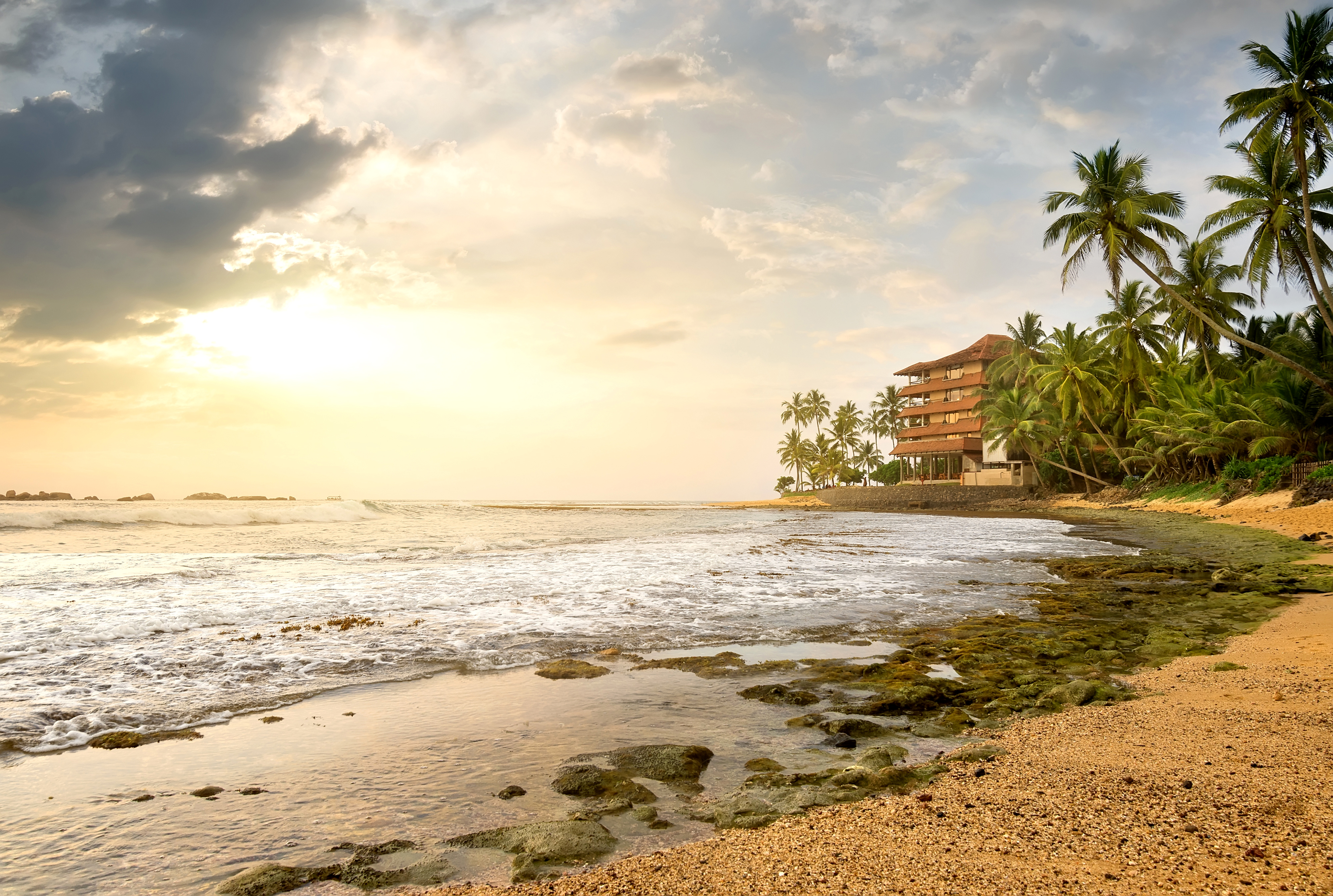 Beach Building Coast Horizon Hotel Ocean Palm Tree Sri Lanka 4000x2690